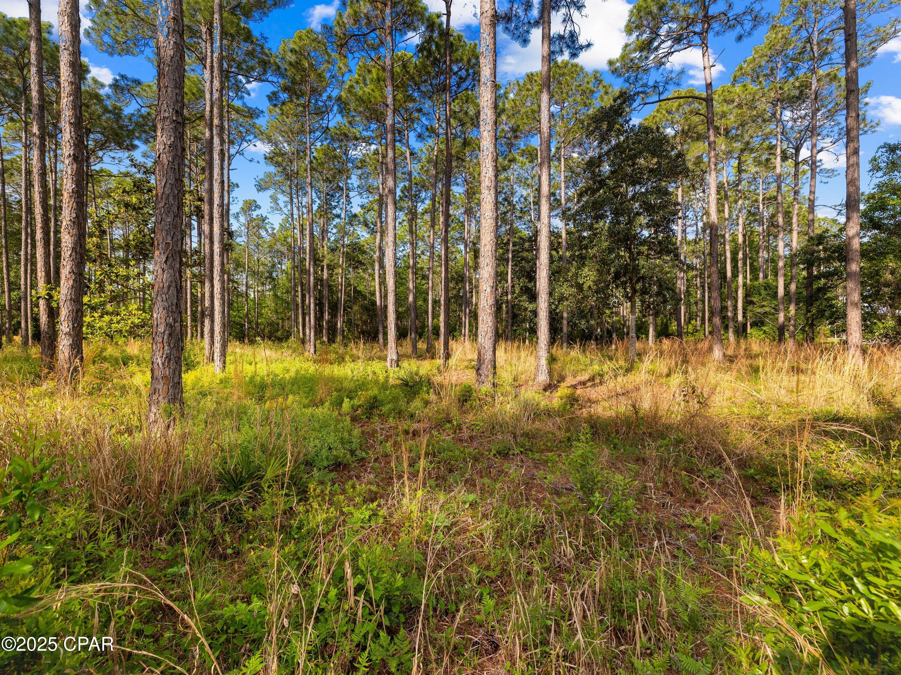 Image 17 For 7535 Morning Marsh Trail