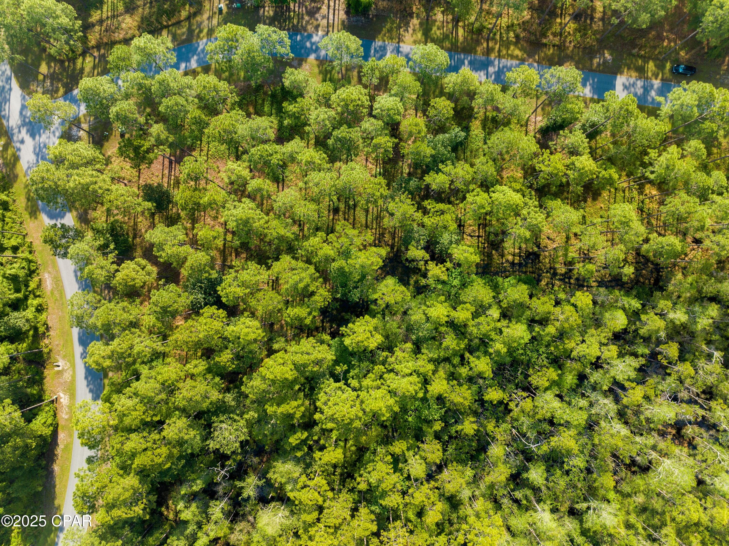 Image 9 For 7535 Morning Marsh Trail