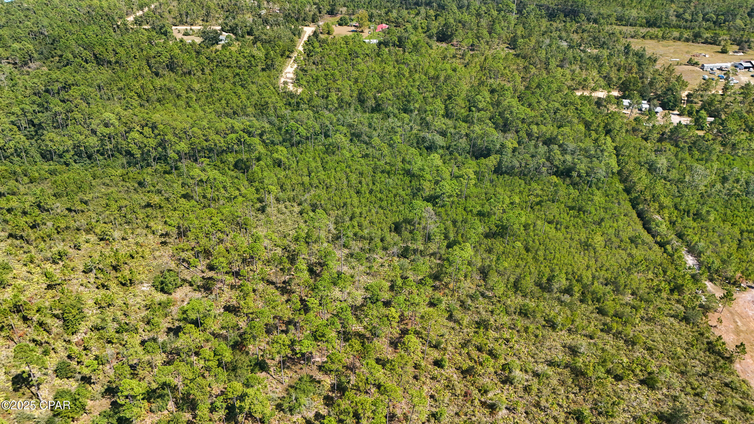 Image 8 For 19809 Dickerson Road