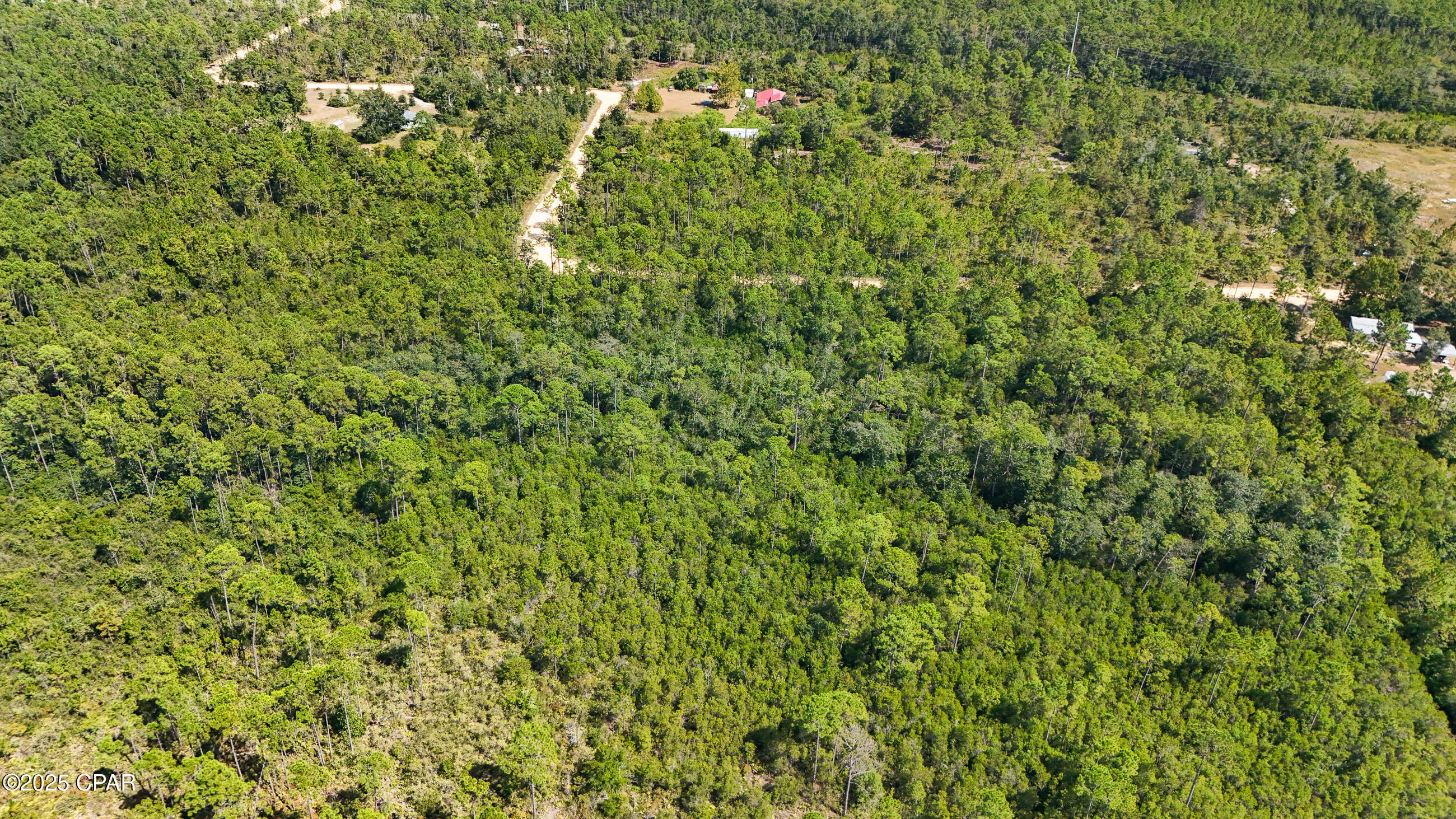 Image 9 For 19809 Dickerson Road