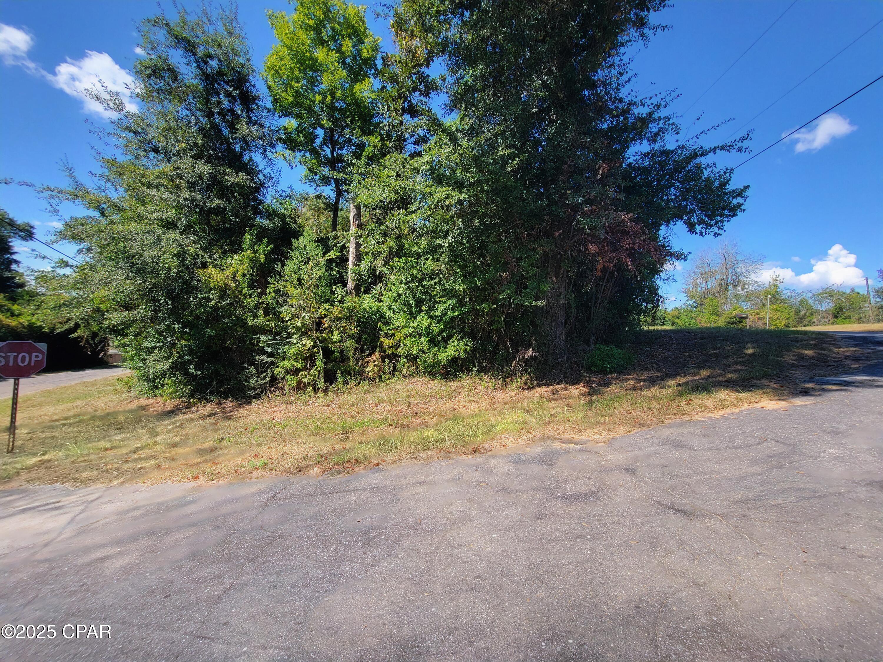 Image 4 For 00 River Road