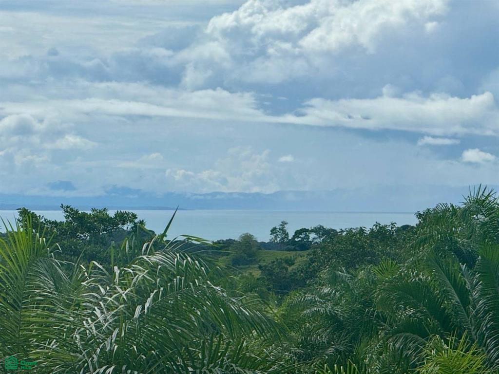 0 bed Land For Sale in Golfito, Puntarenas - 1