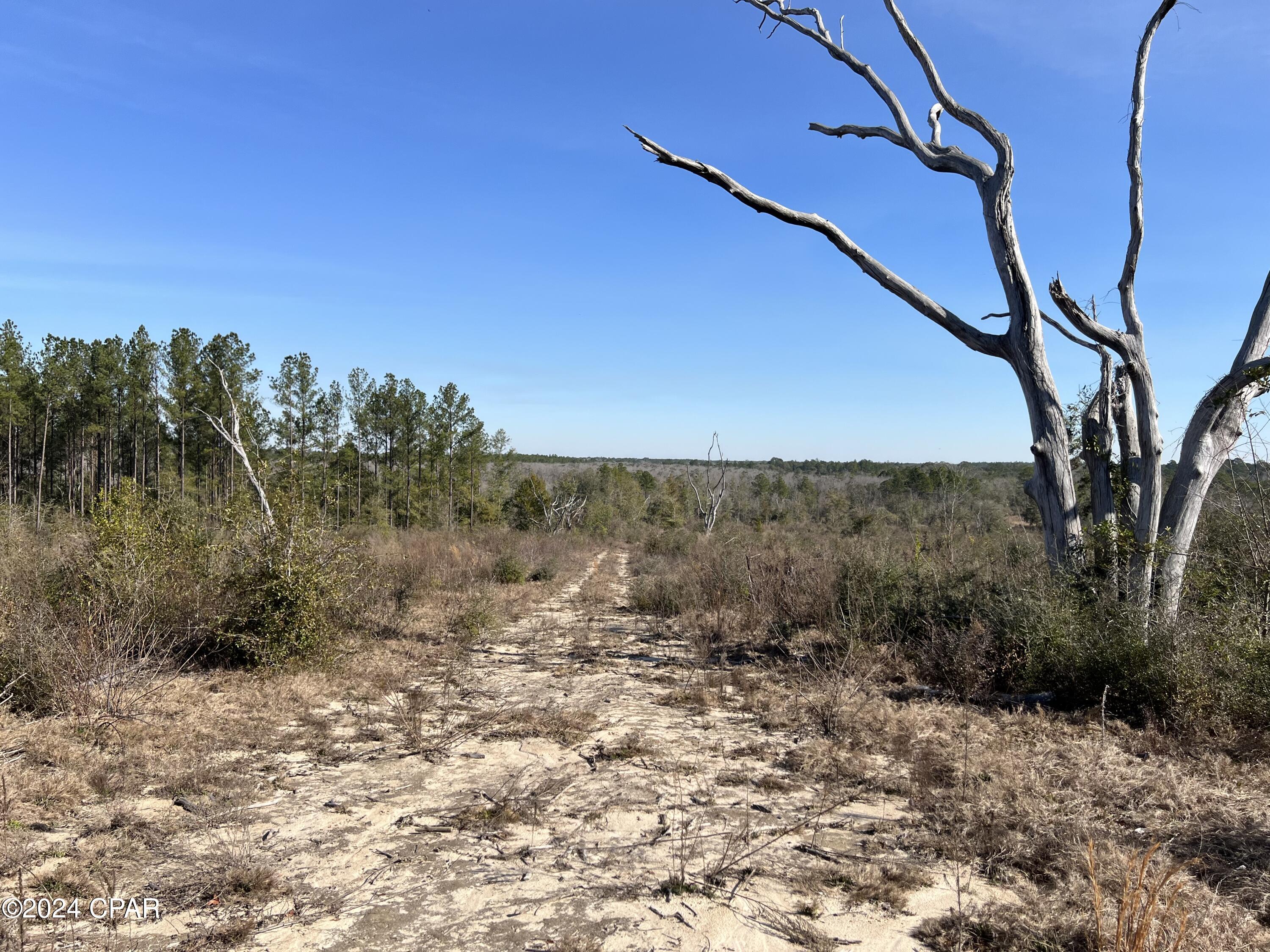 Details for 0 James Luther Street, Ponce De Leon, FL 32455