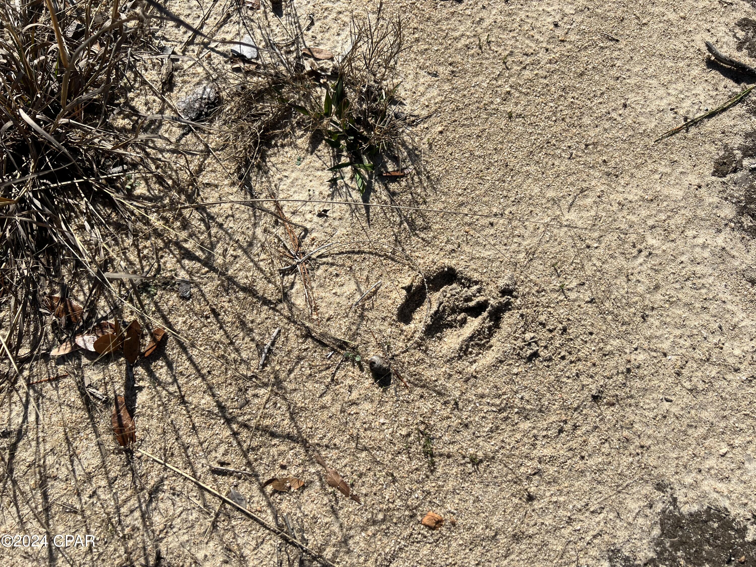 Image 10 For 0 James Luther Street