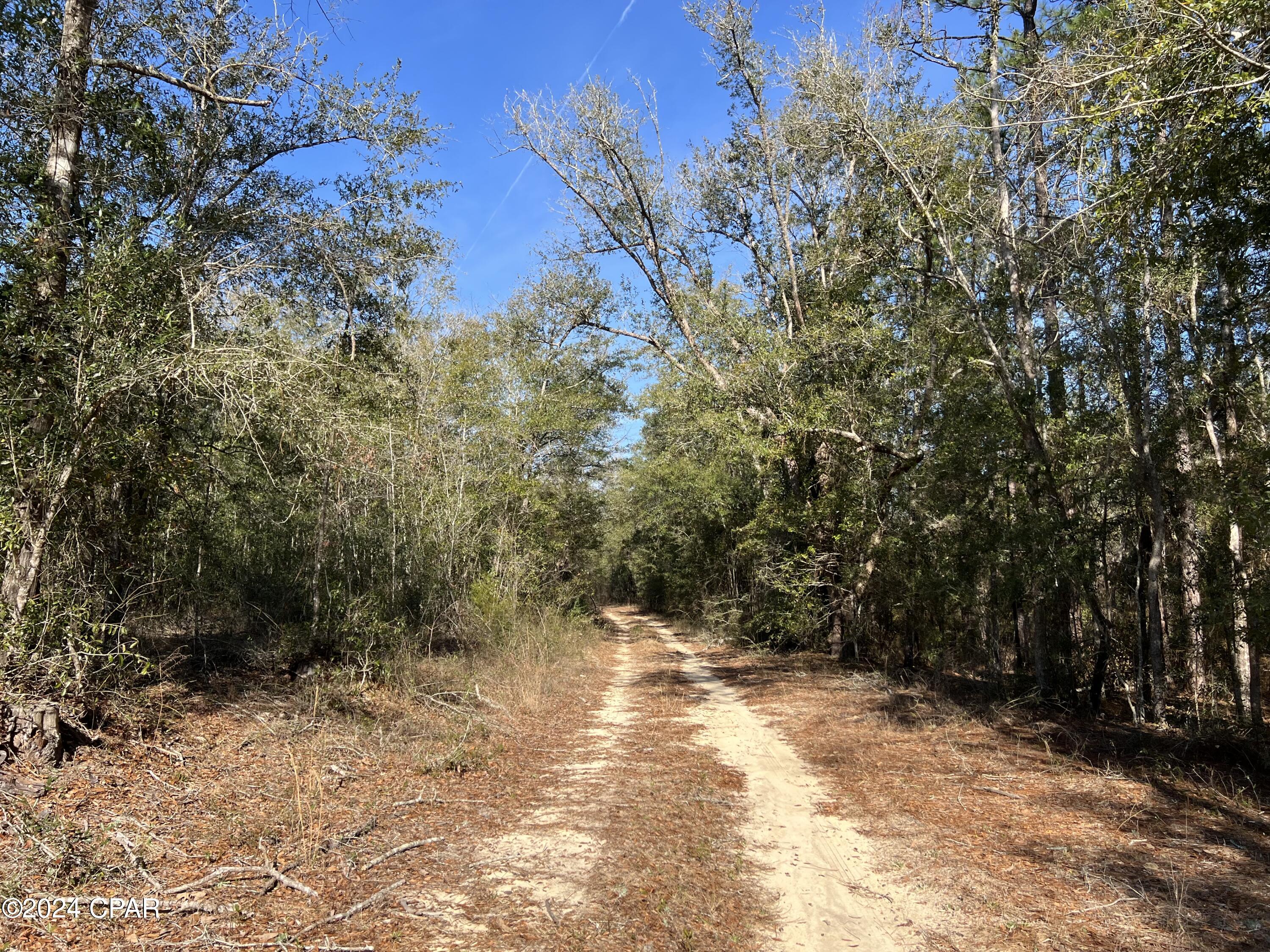Homes for sale in Ponce De Leon, FL | 0 James Luther Street, Ponce De Leon, FL 32455 | MLS# 779516