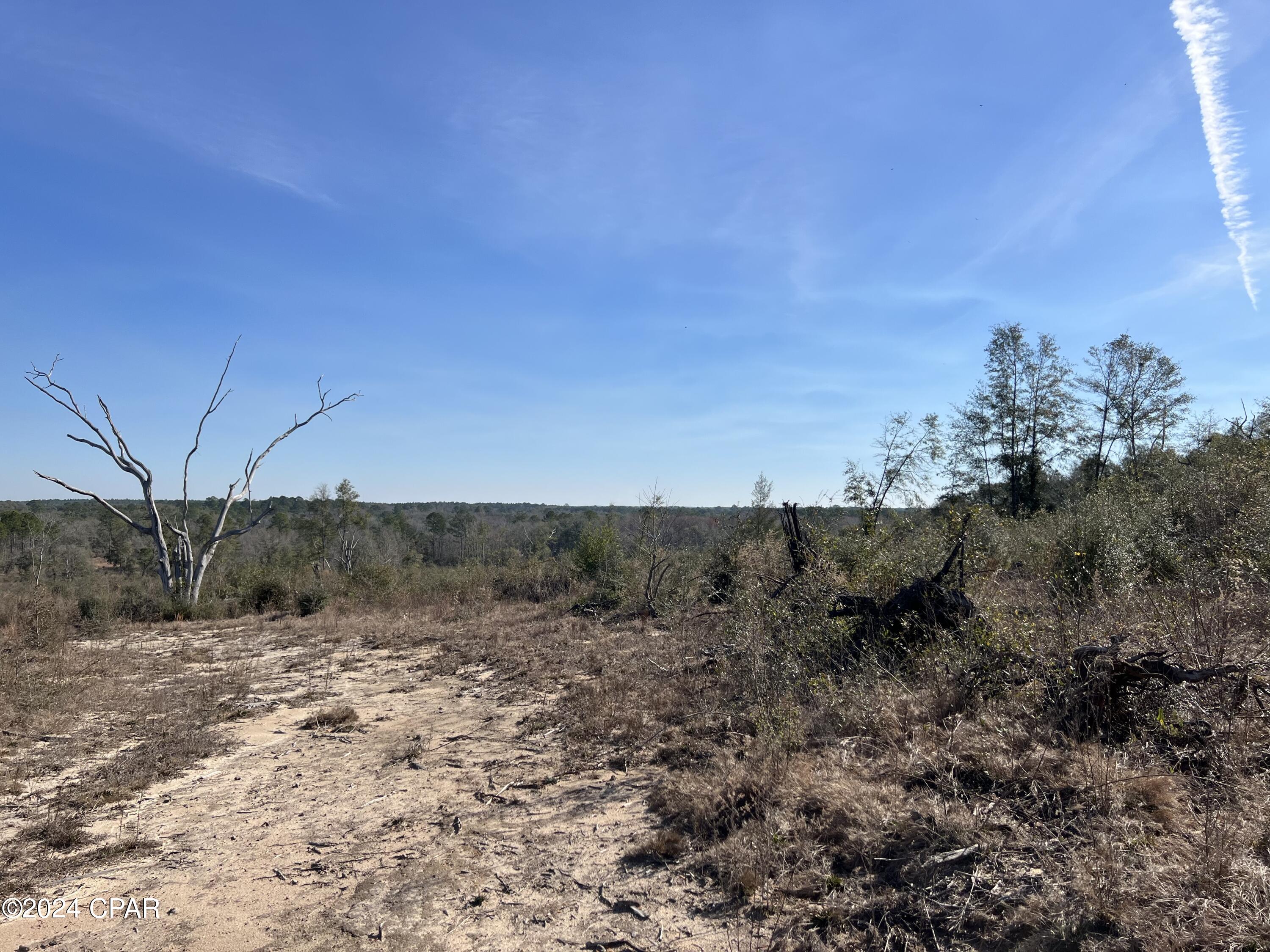 Homes for sale in Ponce De Leon, FL | 0 James Luther Street, Ponce De Leon, FL 32455 | MLS# 779516