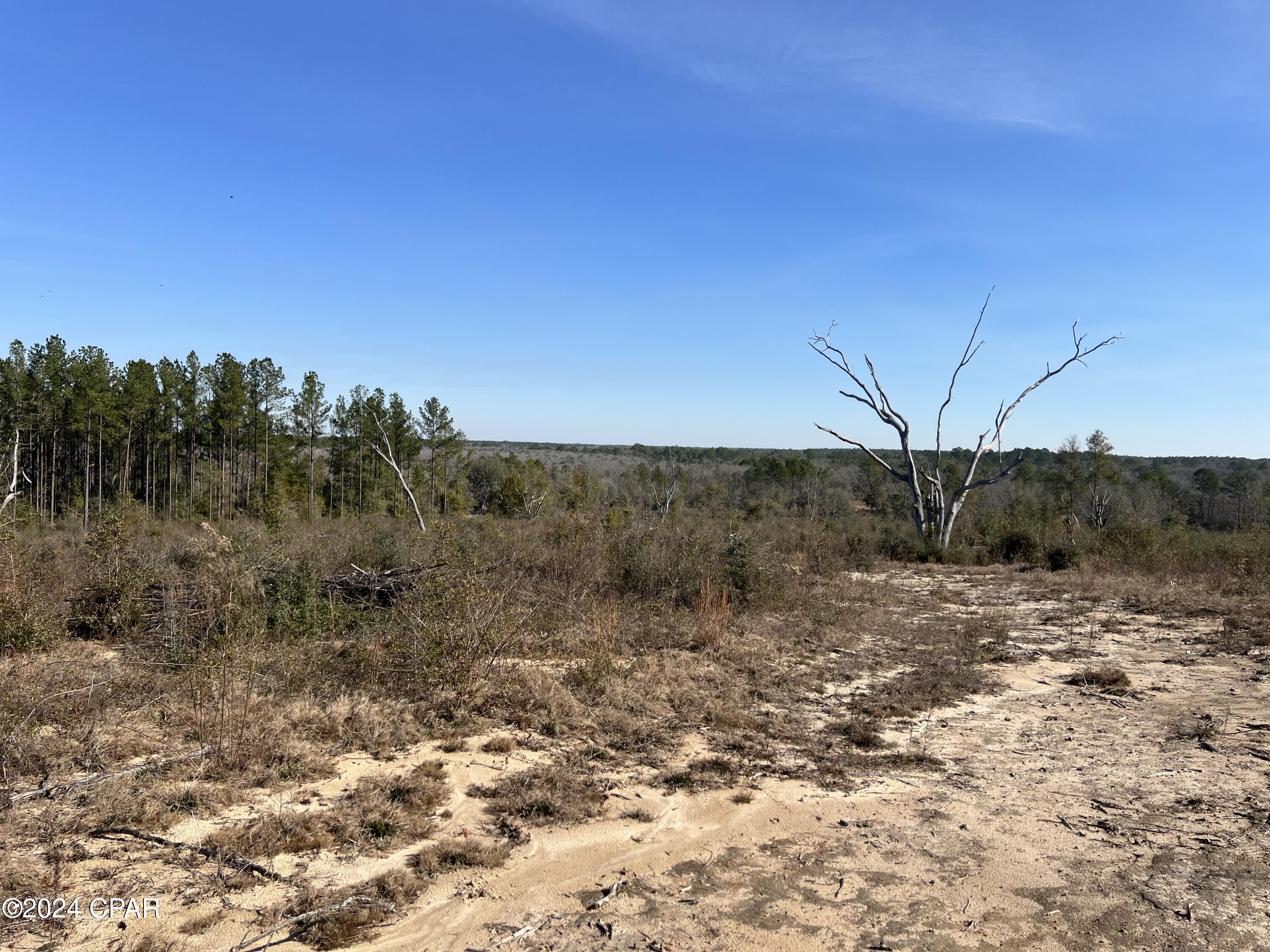 Image 3 For 0 James Luther Street