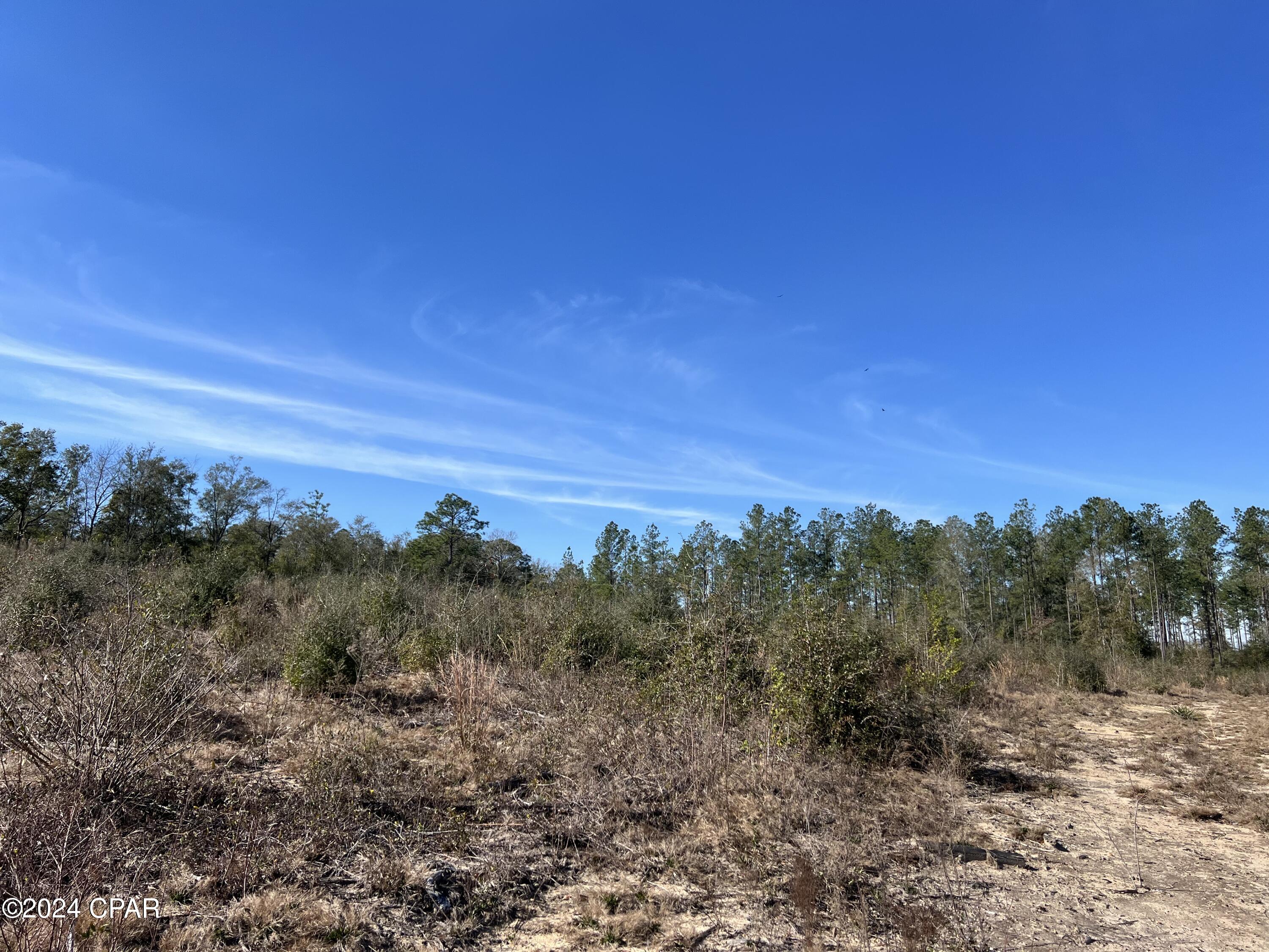 Image 4 For 0 James Luther Street