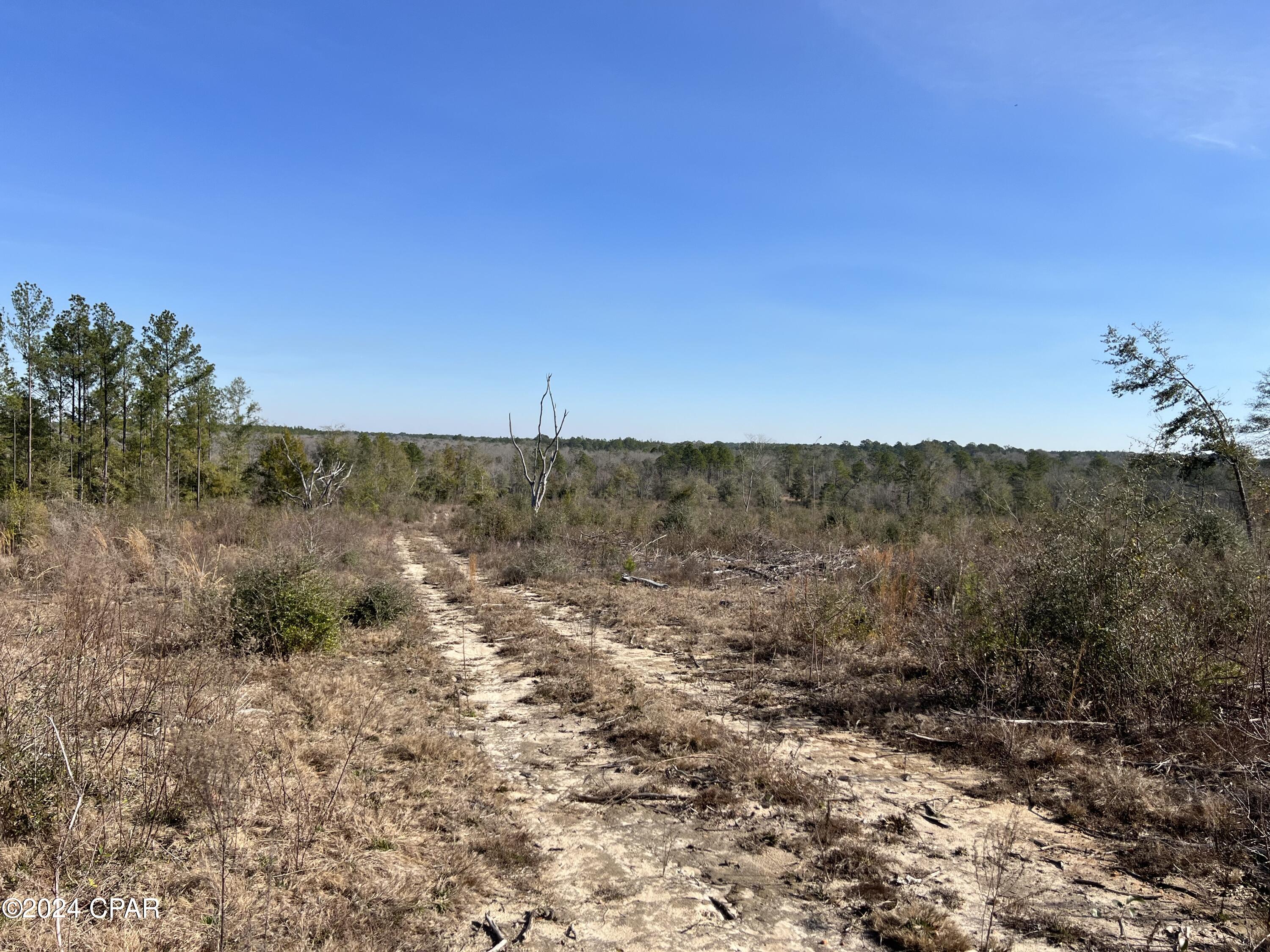 Image 6 For 0 James Luther Street