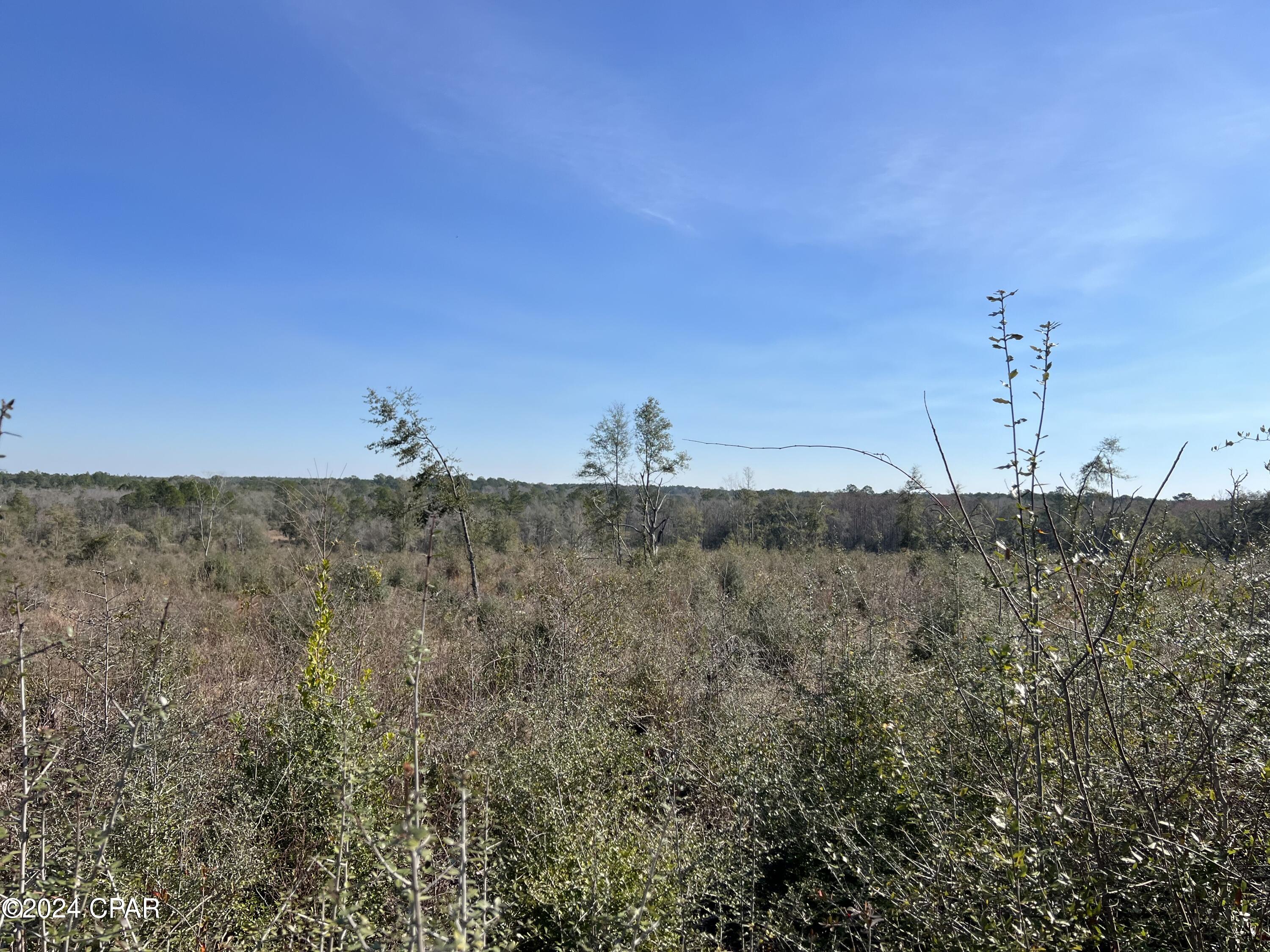 Image 7 For 0 James Luther Street