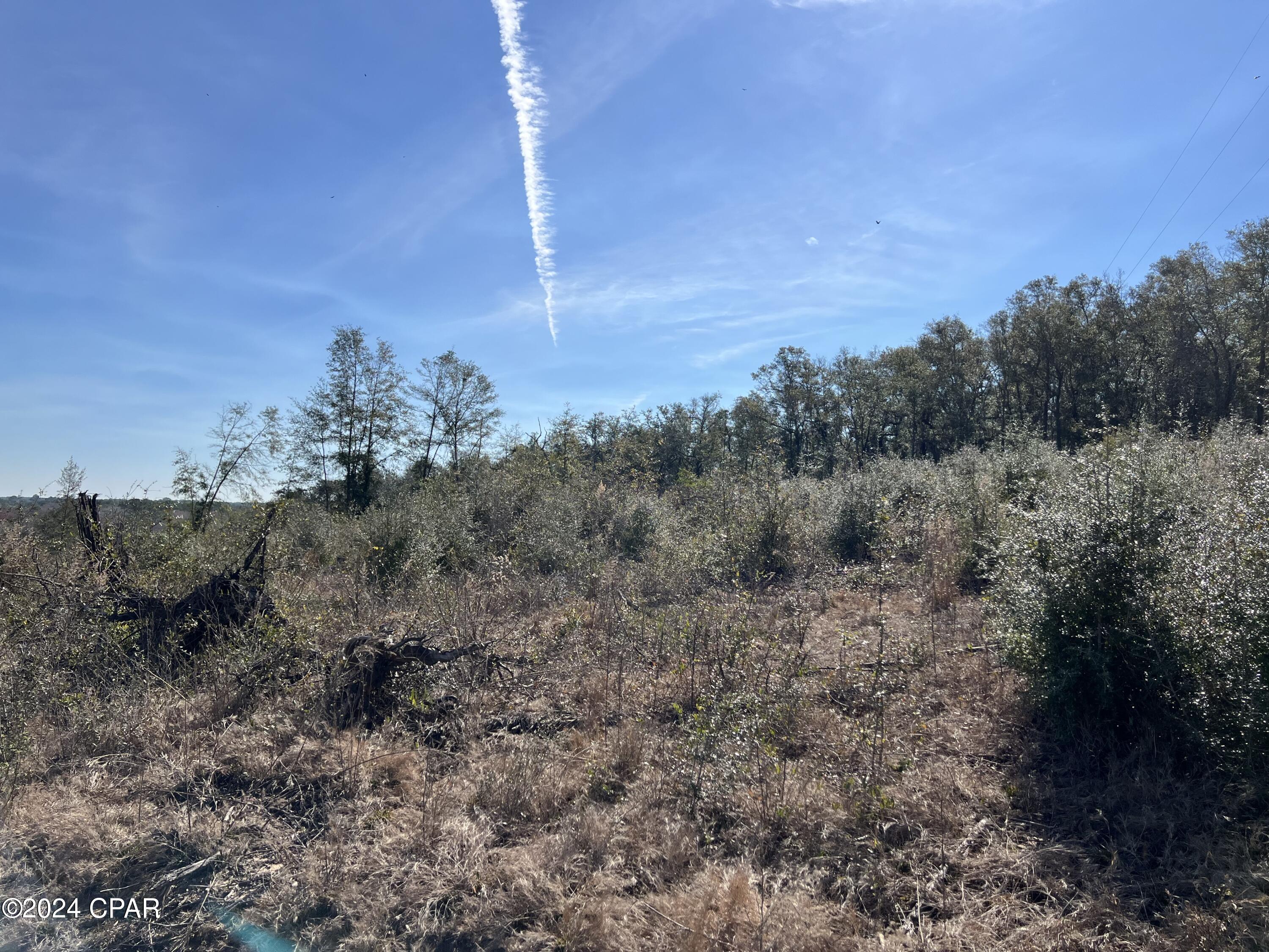 Image 8 For 0 James Luther Street