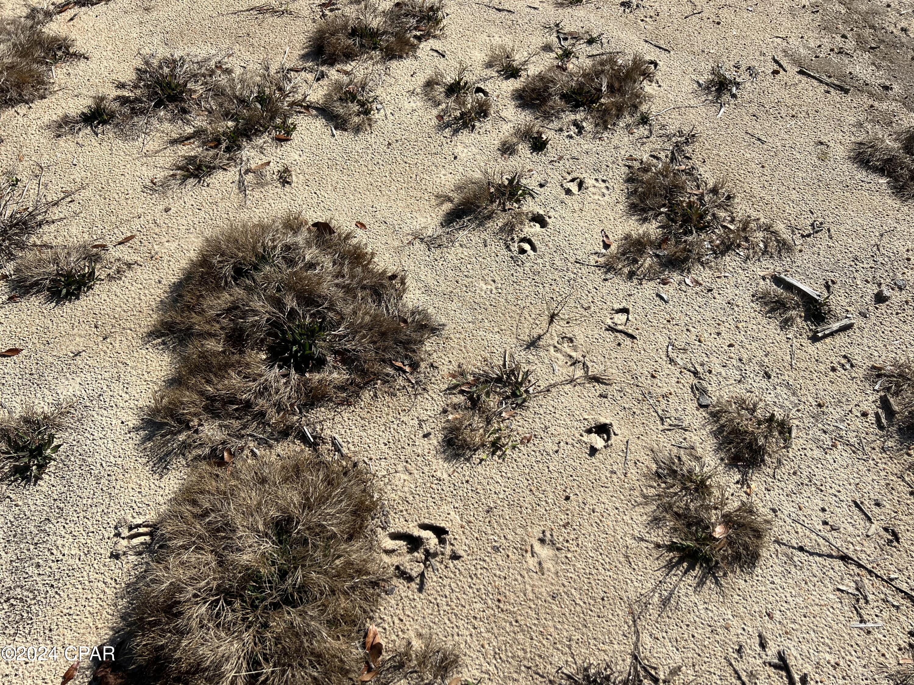 Image 9 For 0 James Luther Street