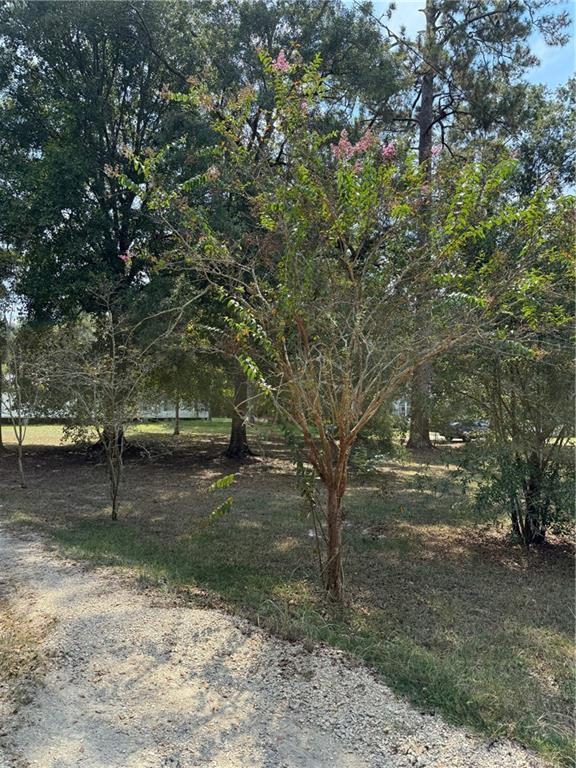 Homes for sale in Tickfaw, LA | 14274 Sampere Ln, Tickfaw, LA 70466 | MLS# 2523331