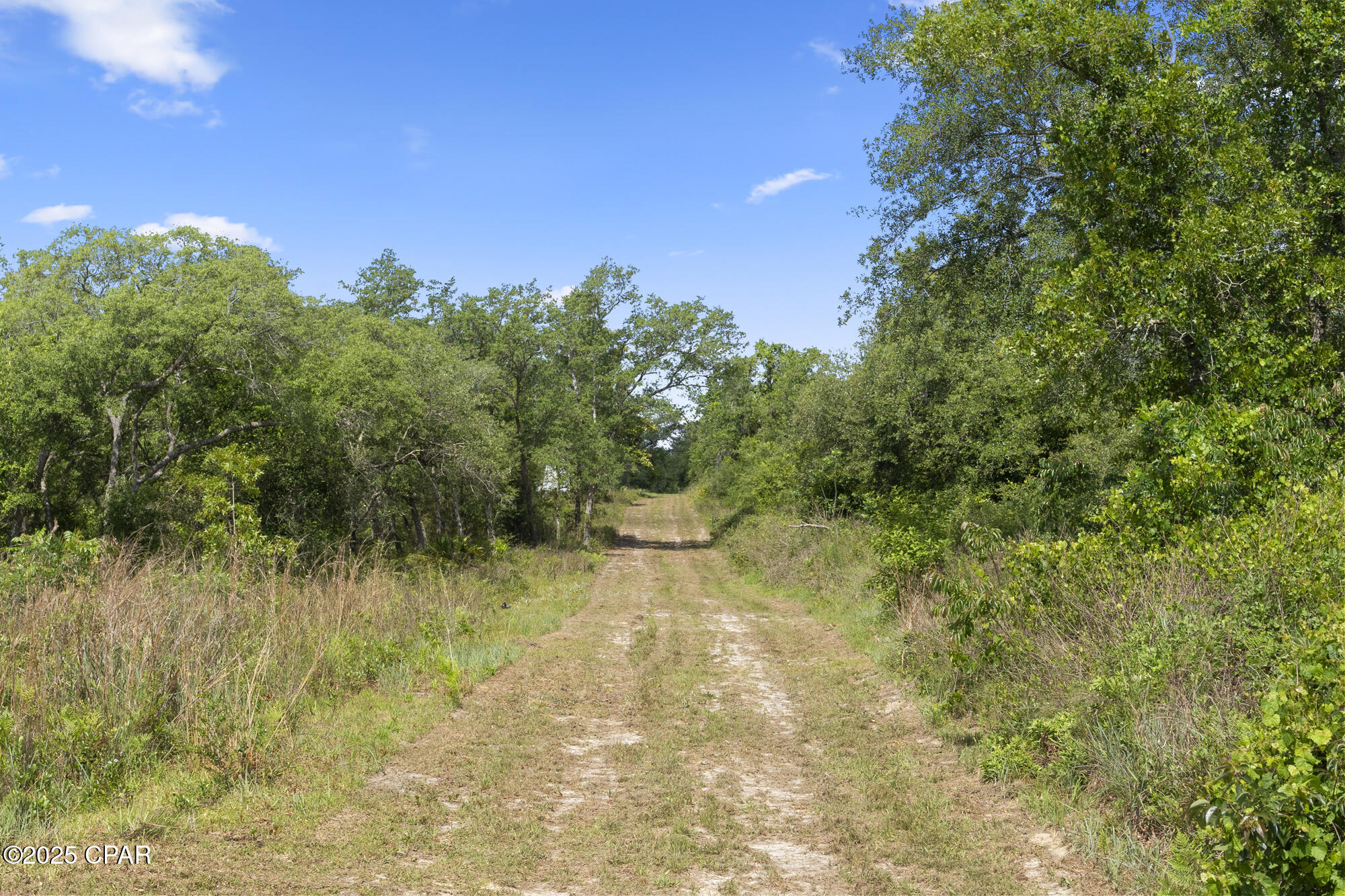 Image 25 For 21835 Lake Mckenzie Boulevard