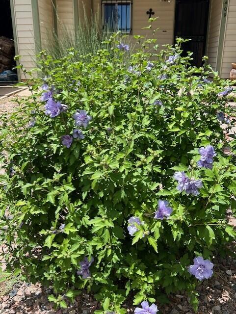 Homes for sale in Las Vegas, NM | 2409 Calle Bonita, Las Vegas, NM 87701 | MLS# 1091899