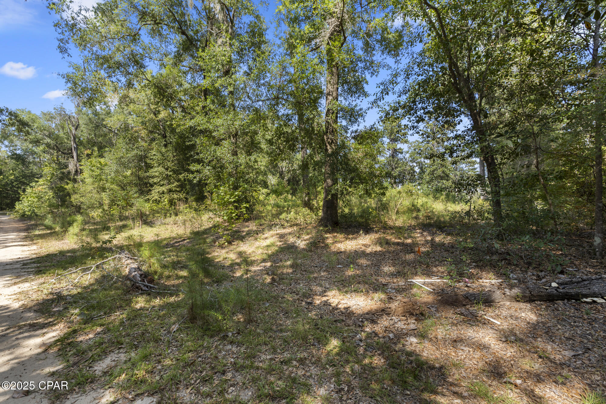 Image 2 For 3126 Magnolia Drive