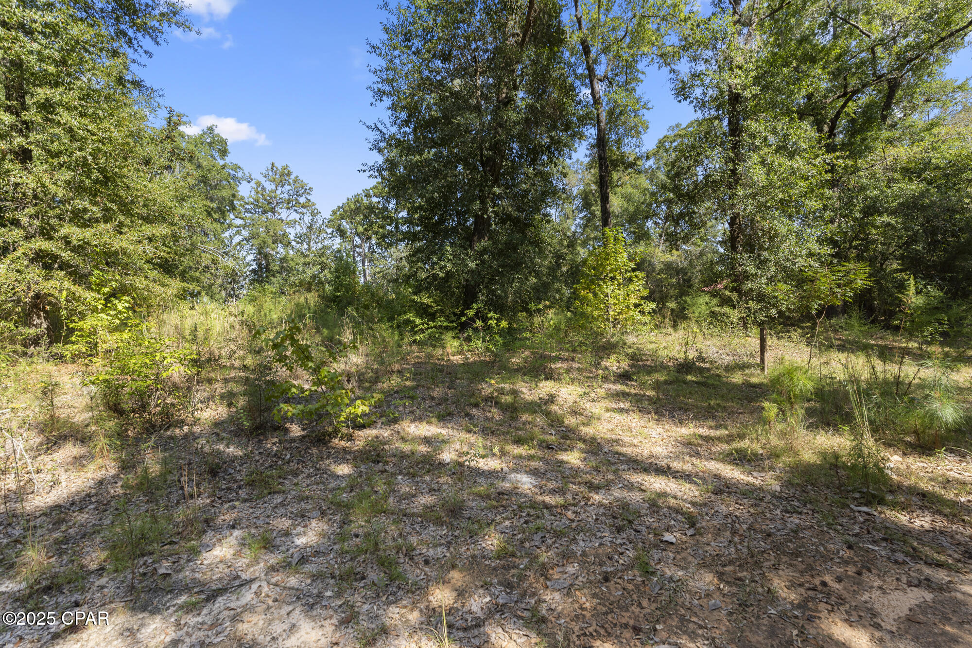 Homes for sale in Chipley, FL | 3126 Magnolia Dr, Chipley, FL 32428 | MLS# 779575