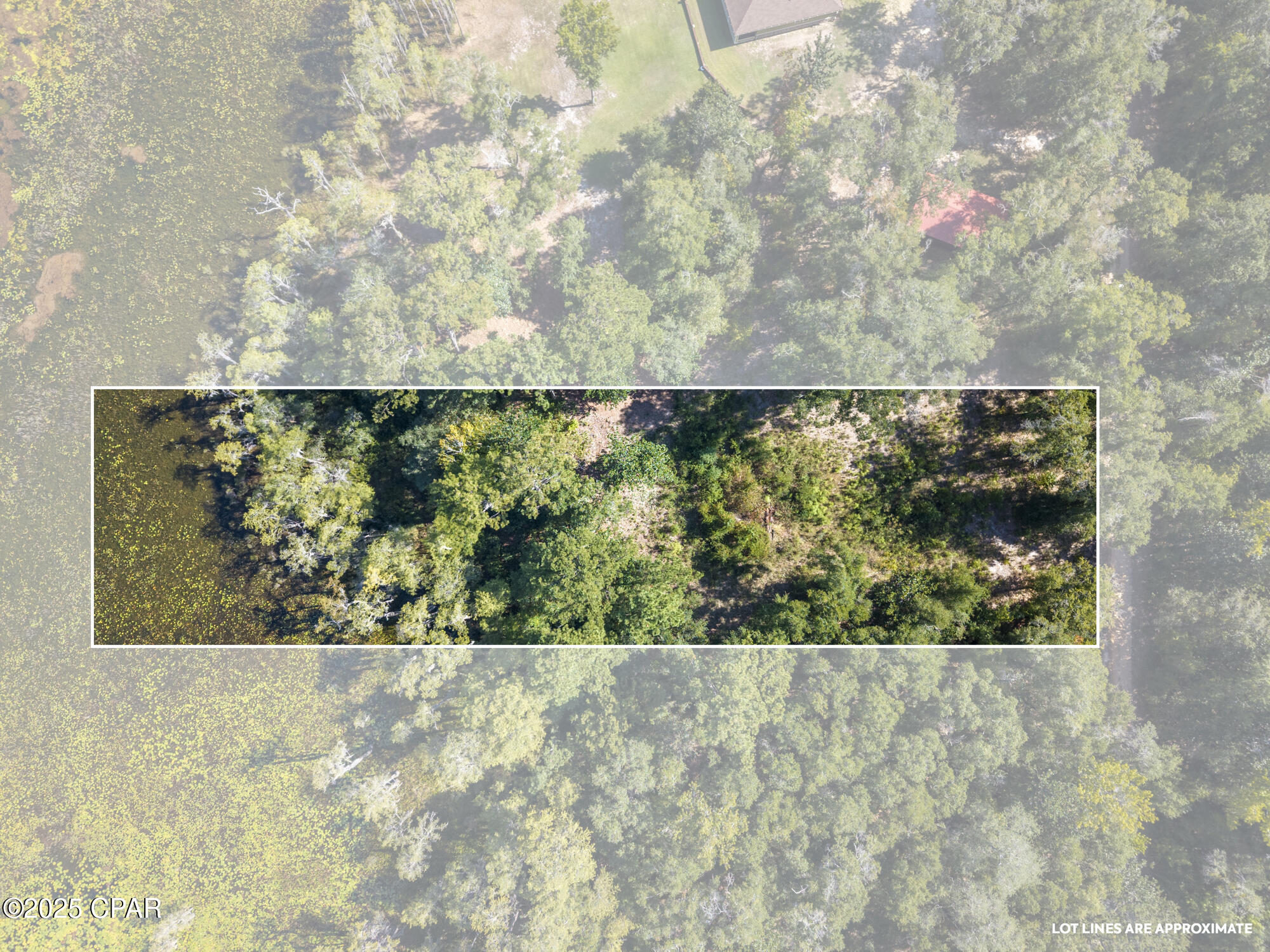 Image 8 For 3126 Magnolia Drive