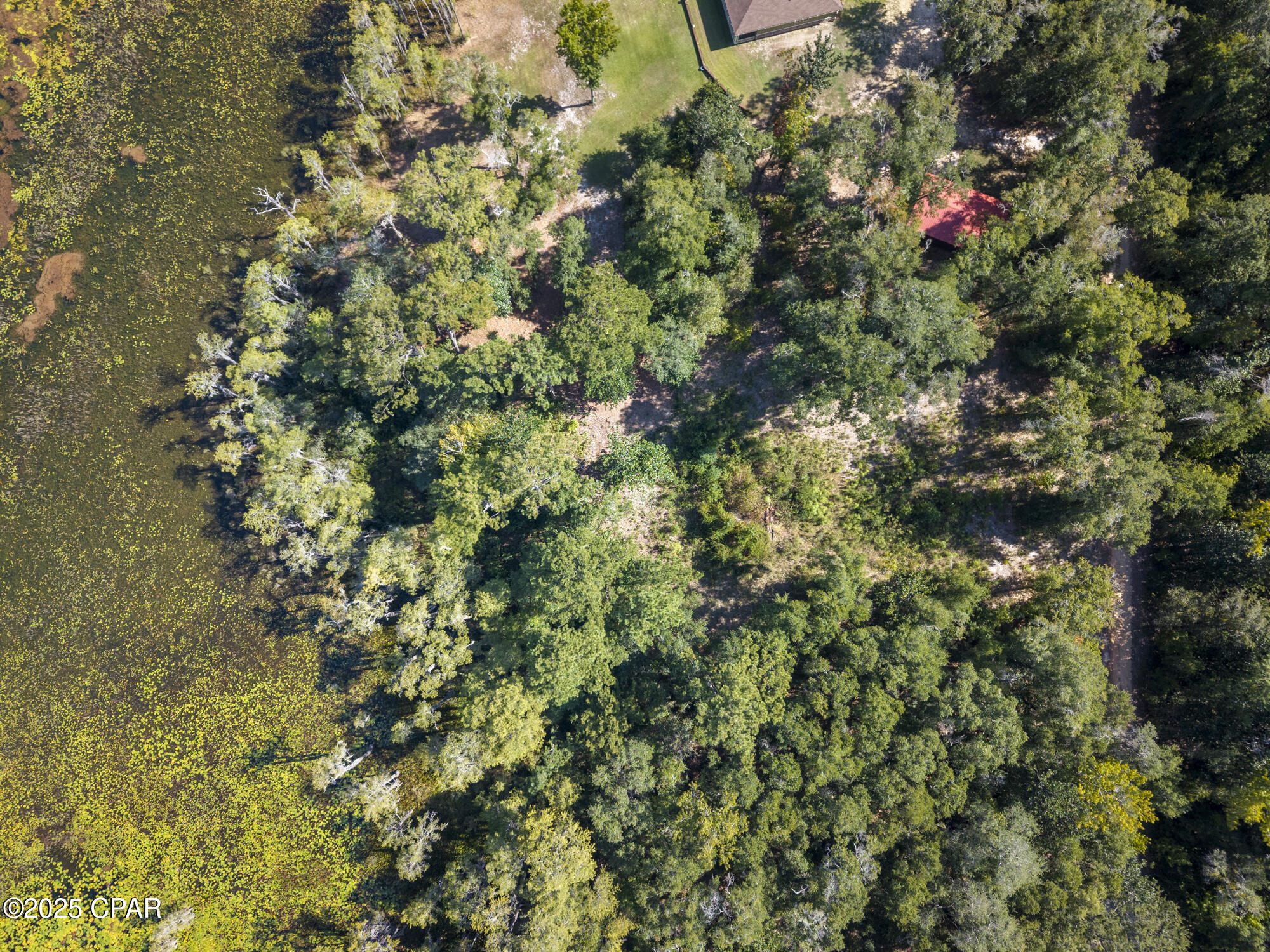 Image 9 For 3126 Magnolia Drive