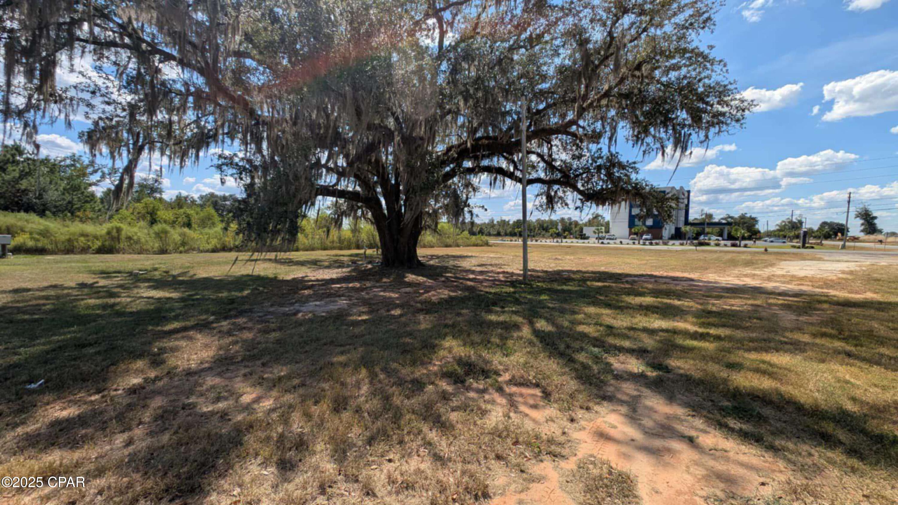 Image 7 For 2046 Florida 71