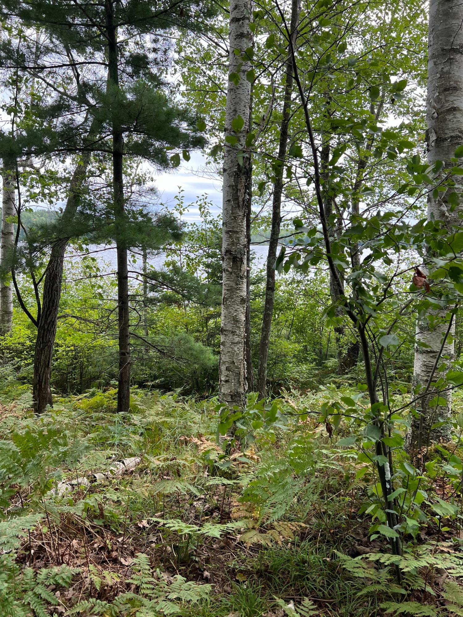 Booth Lake Property Off Booth Lake Rd Photo 15