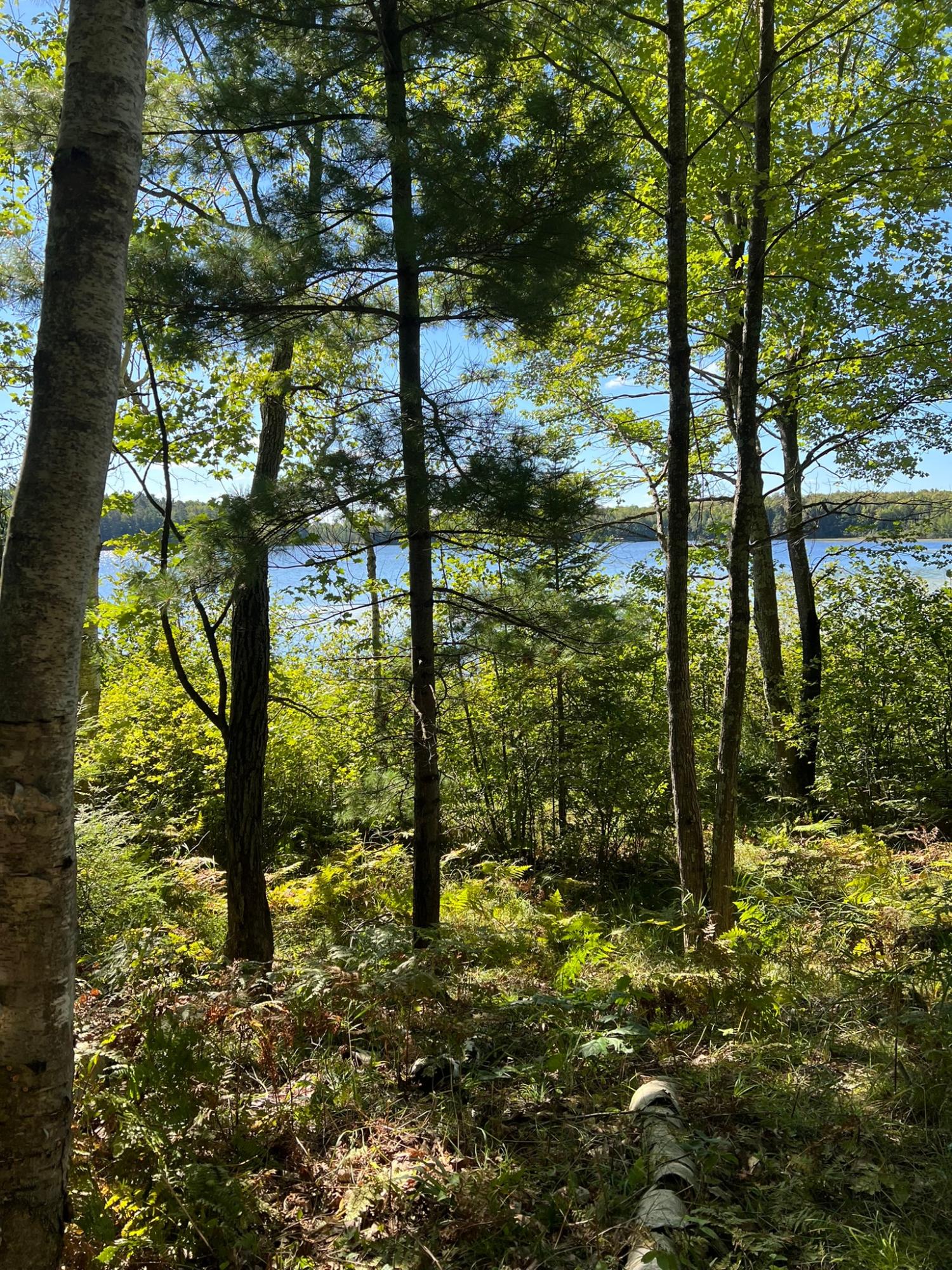 Booth Lake Property Off Booth Lake Rd Photo 16