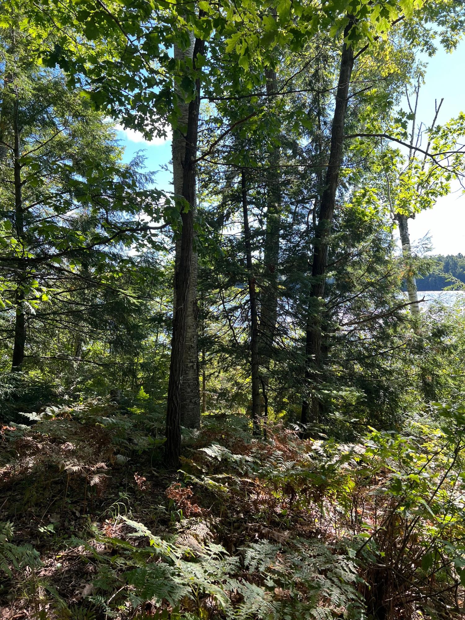 Booth Lake Property Off Booth Lake Rd Photo 18