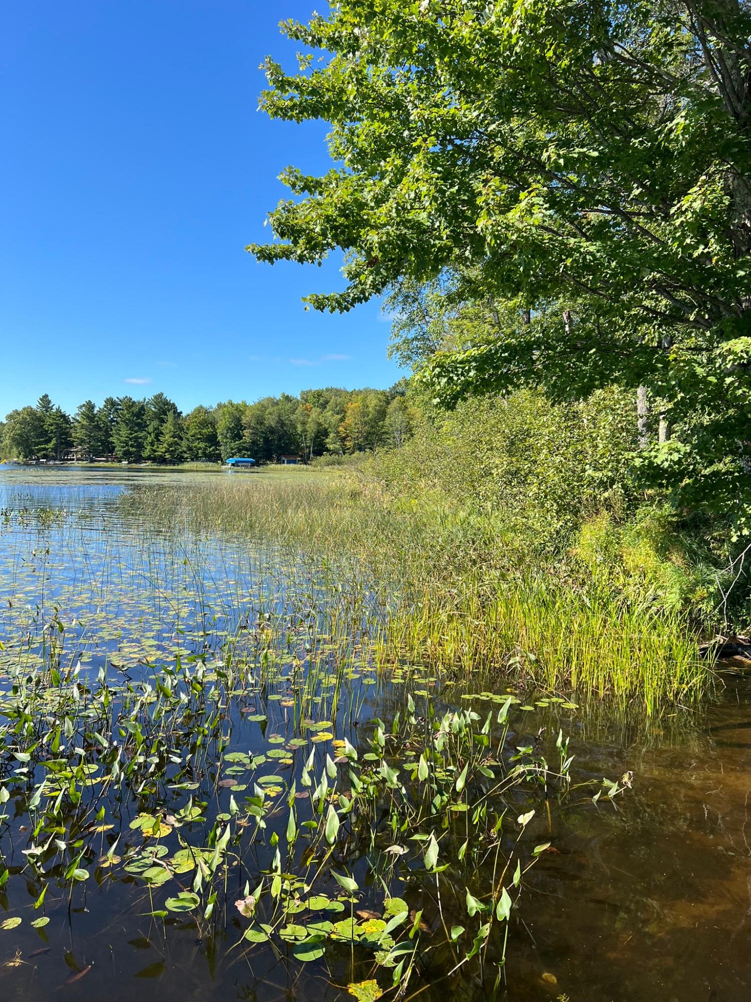 Booth Lake Property Off Booth Lake Rd Photo 2