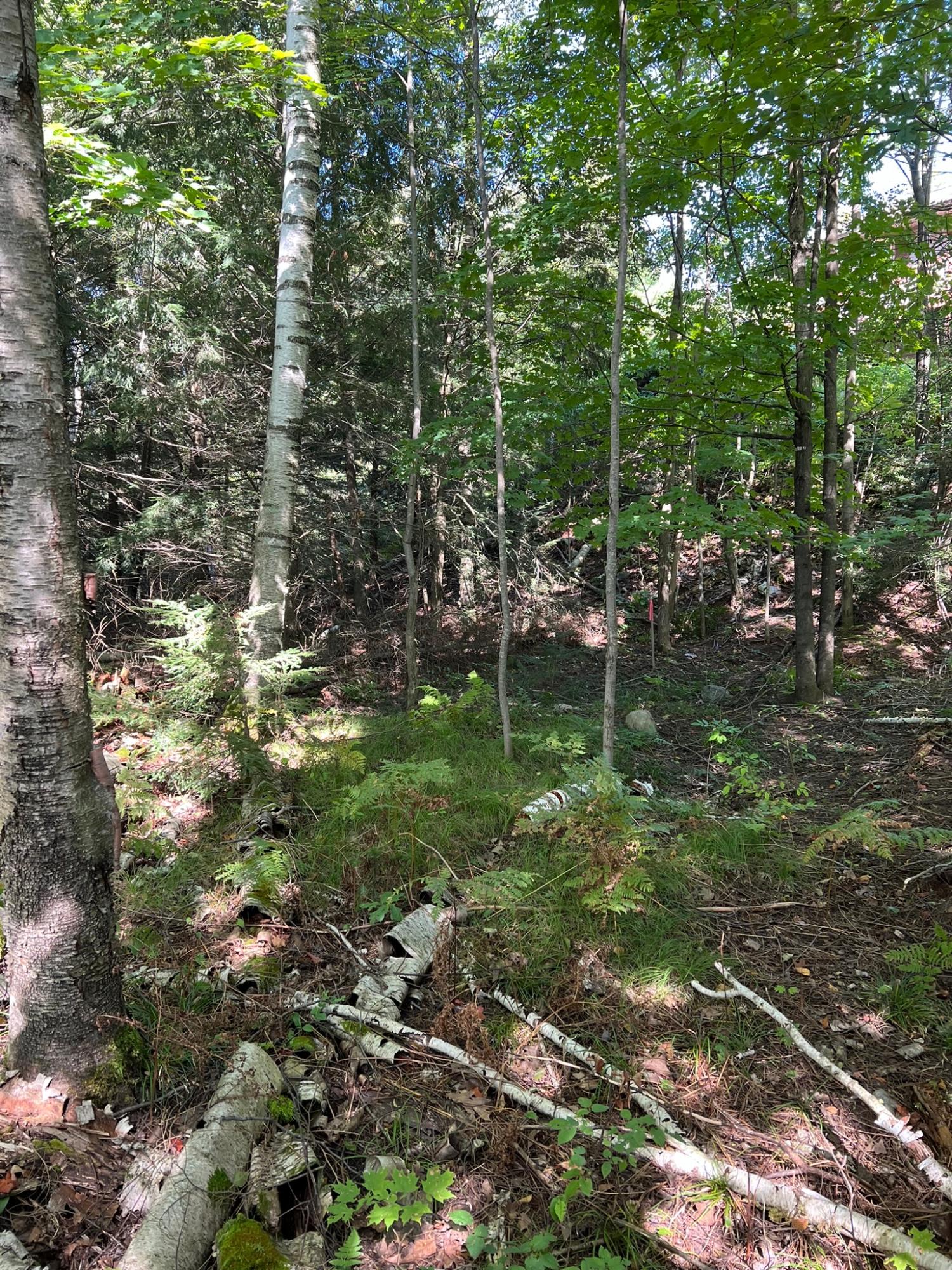 Booth Lake Property Off Booth Lake Rd Photo 20