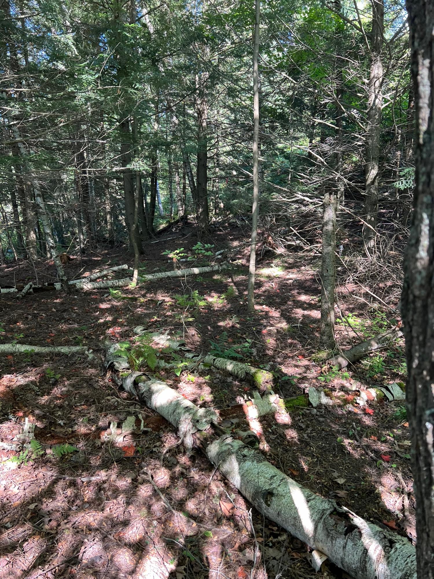 Booth Lake Property Off Booth Lake Rd Photo 22