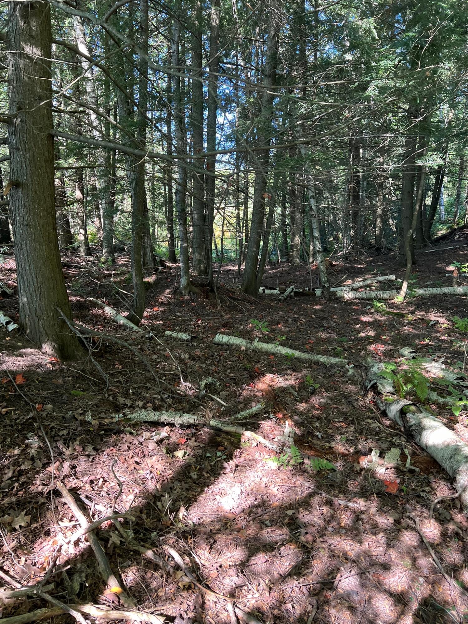 Booth Lake Property Off Booth Lake Rd Photo 23