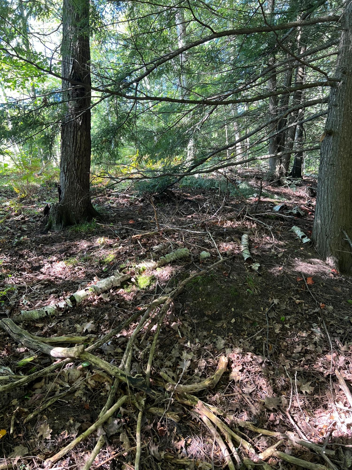 Booth Lake Property Off Booth Lake Rd Photo 24