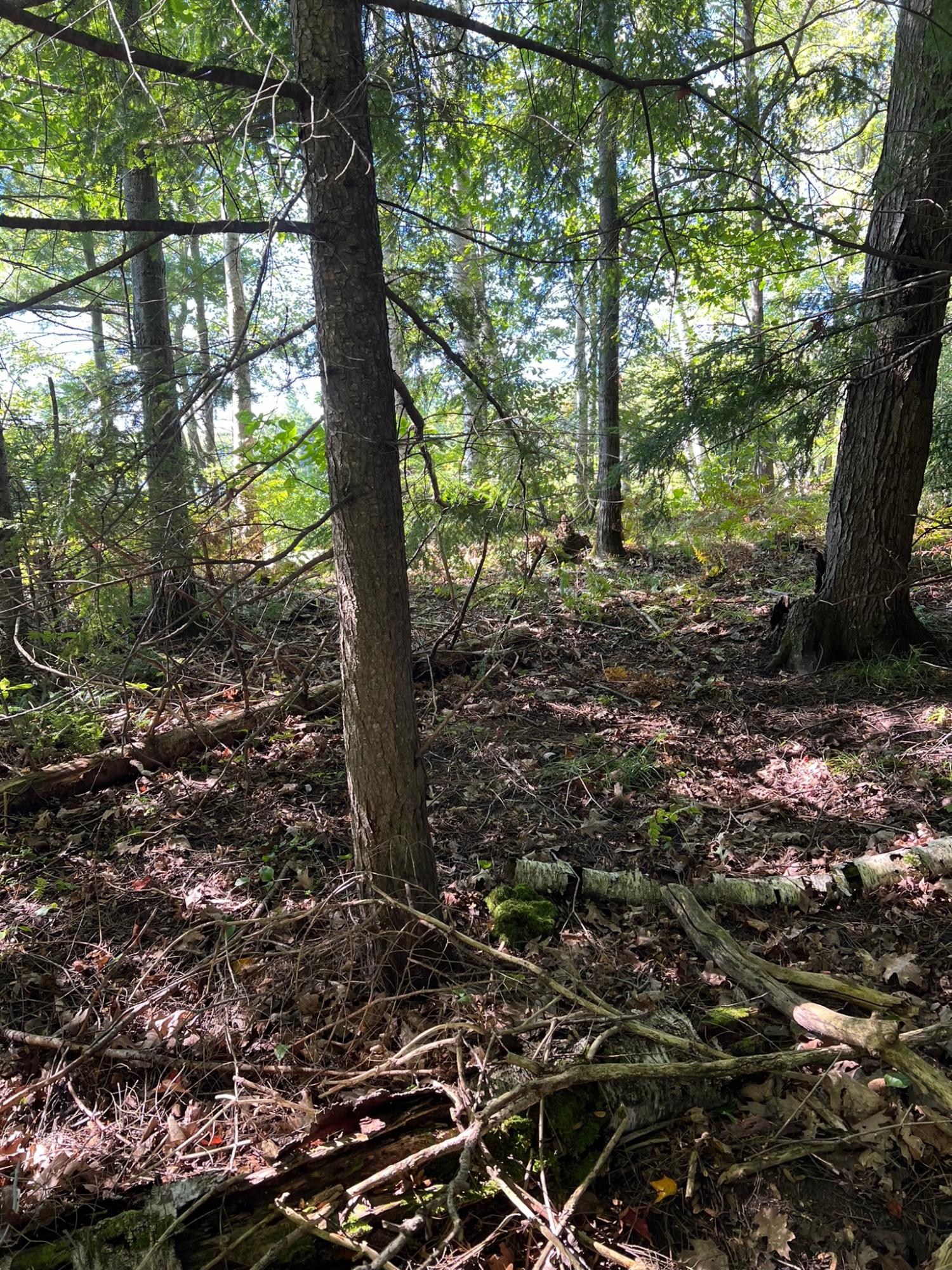 Booth Lake Property Off Booth Lake Rd Photo 25