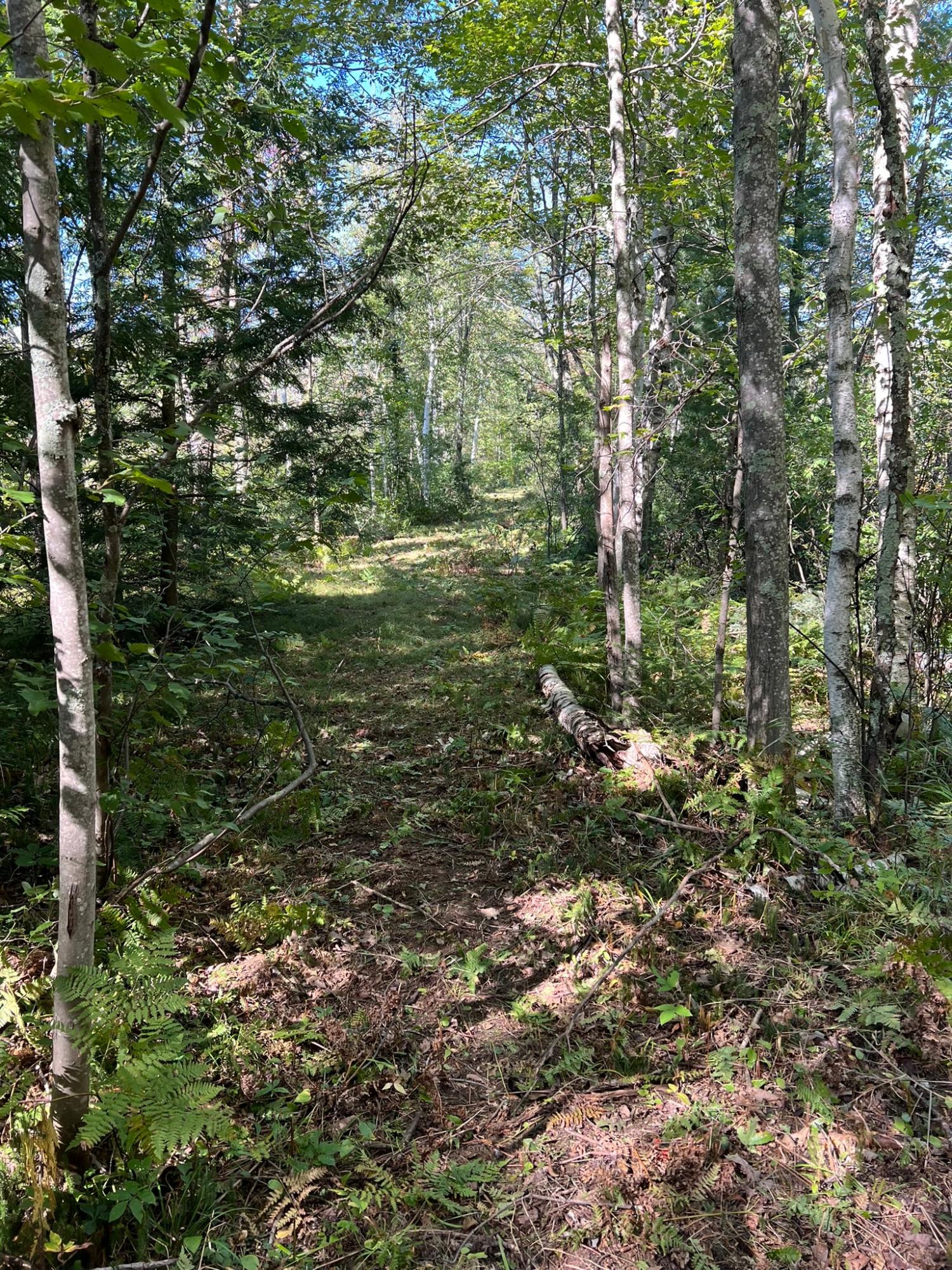 Booth Lake Property Off Booth Lake Rd Photo 28