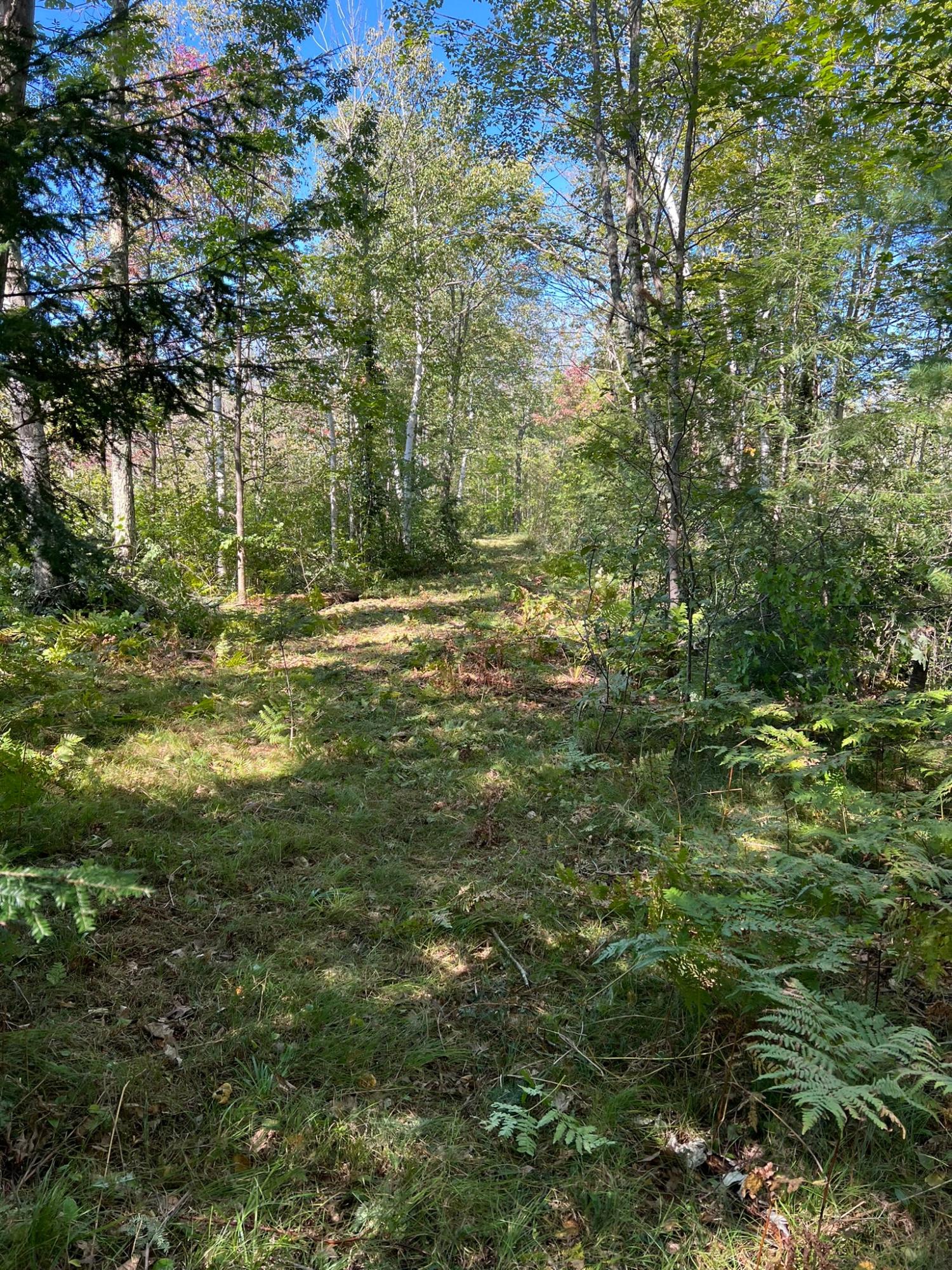 Booth Lake Property Off Booth Lake Rd Photo 29