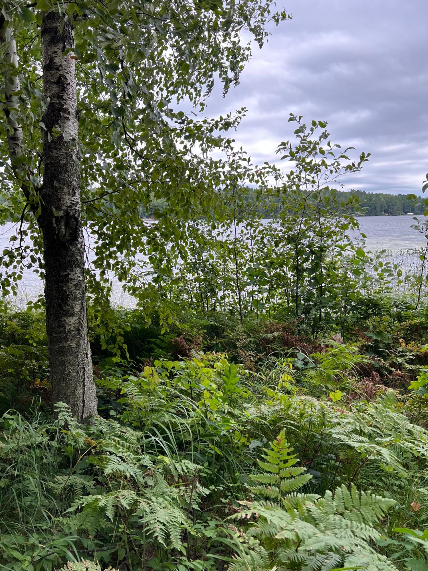 Booth Lake Property Off Booth Lake Rd Photo 4