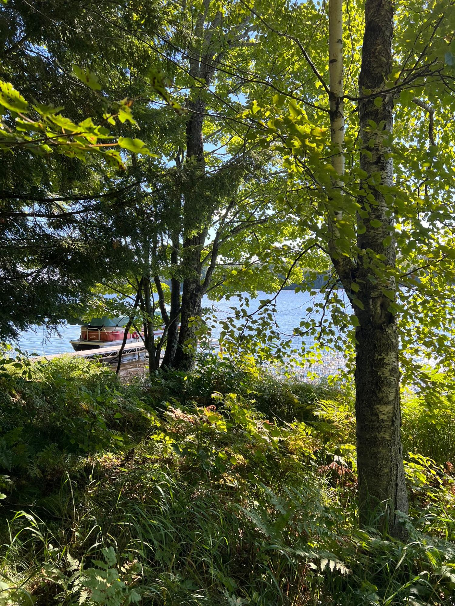 Booth Lake Property Off Booth Lake Rd Photo 5