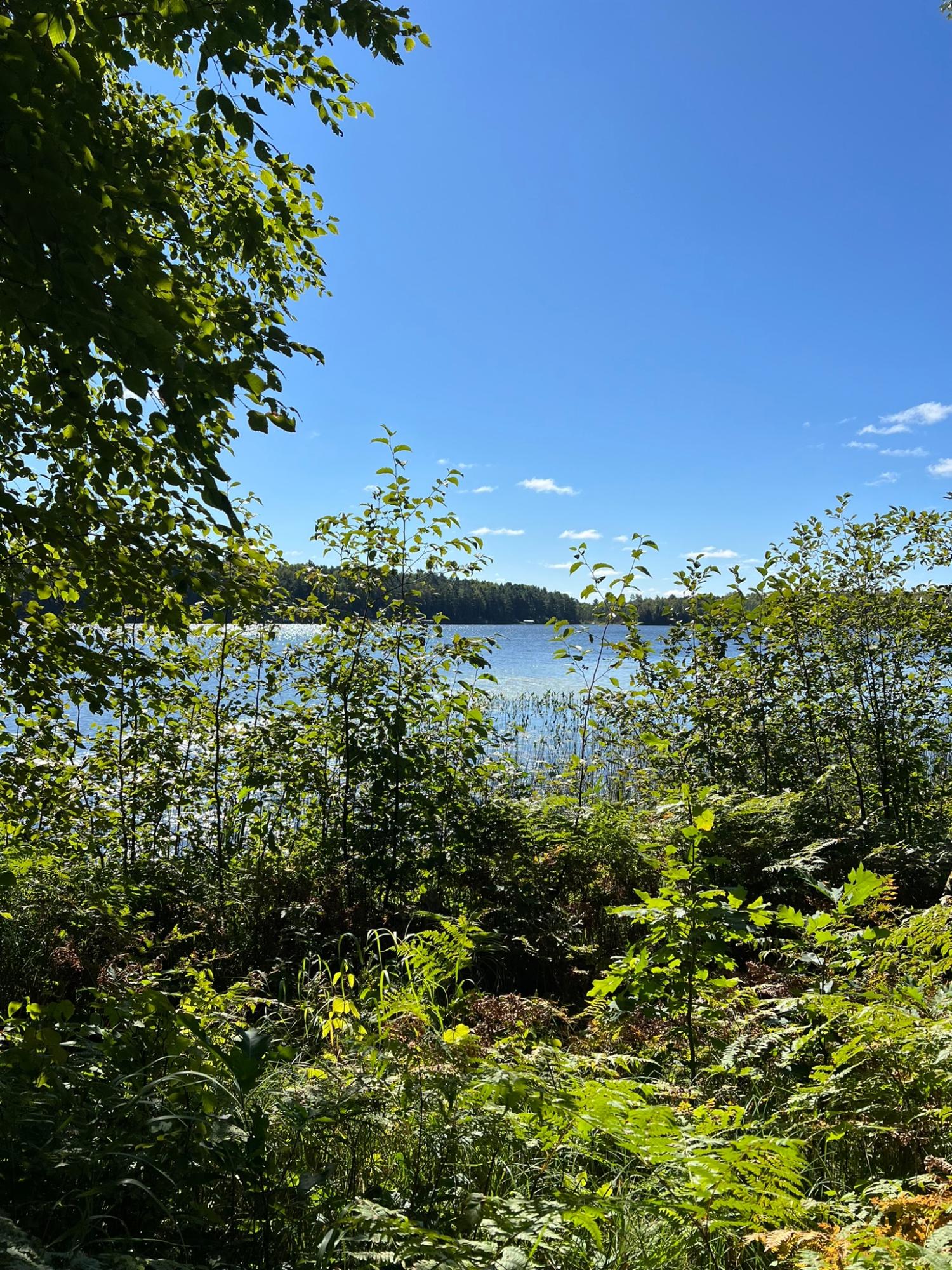 Booth Lake Property Off Booth Lake Rd Photo 6