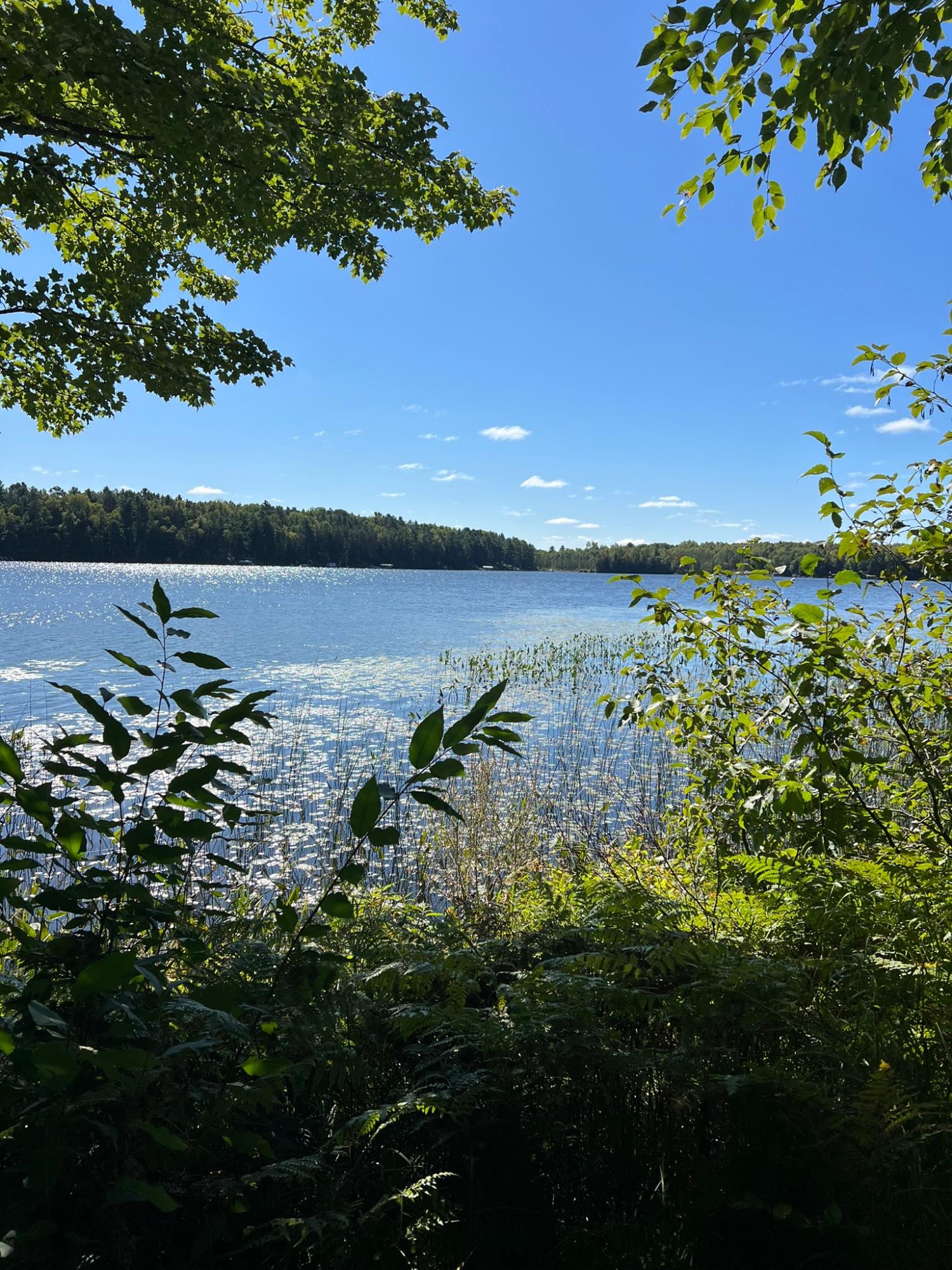 Booth Lake Property Off Booth Lake Rd Photo 7