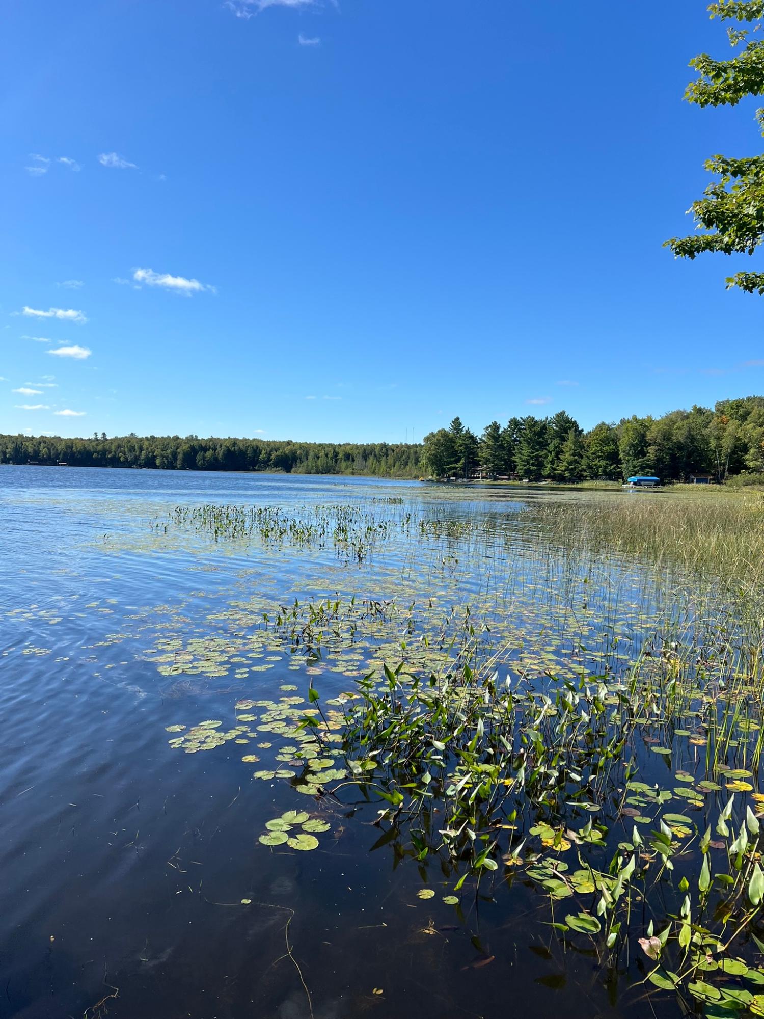 Booth Lake Property Off Booth Lake Rd Photo 8