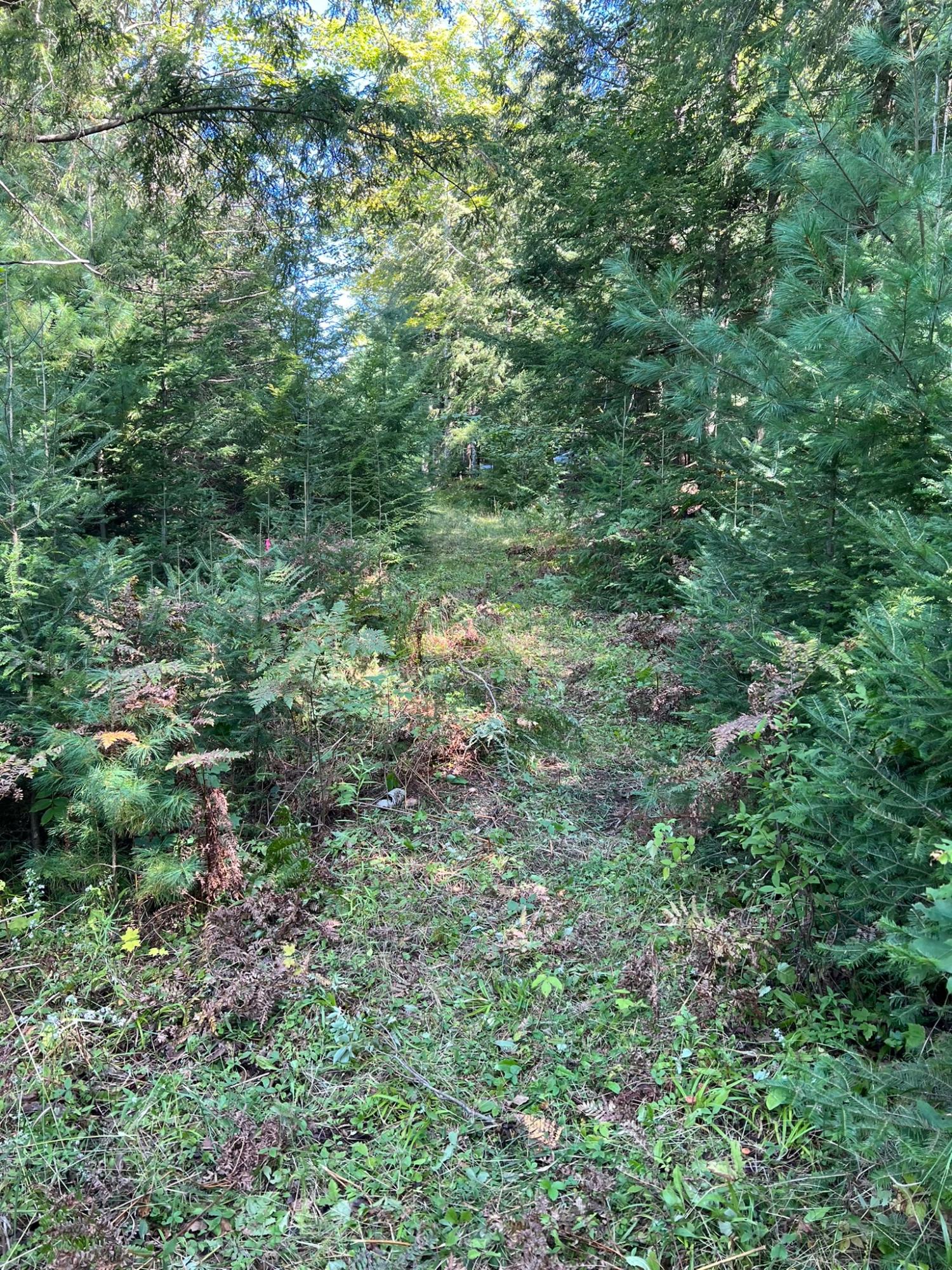 Booth Lake Property Off Booth Lake Rd Photo 9