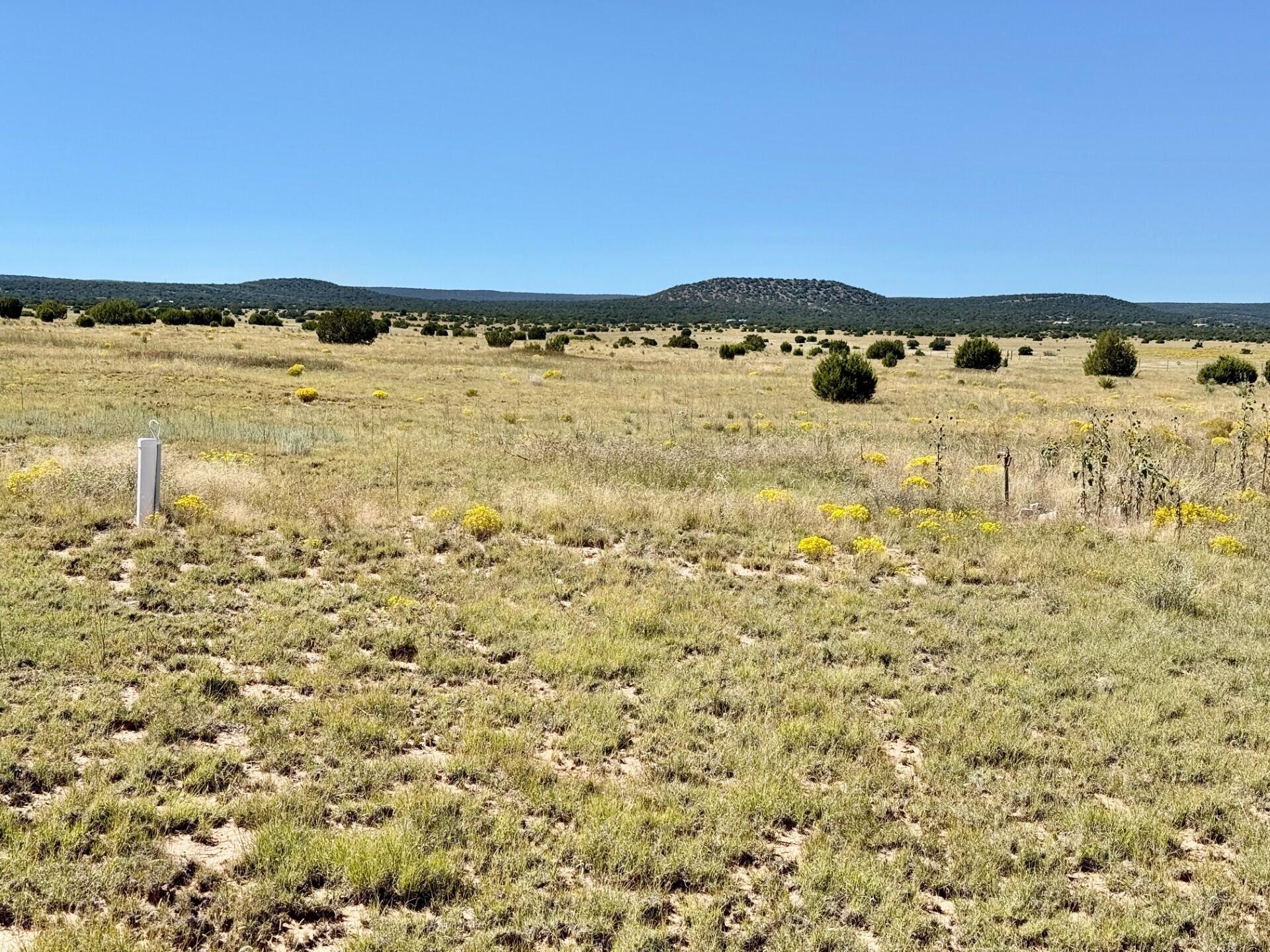 Homes for sale in Moriarty, NM | Xx Lexco Rd, Moriarty, NM 87035 | MLS# 1091988