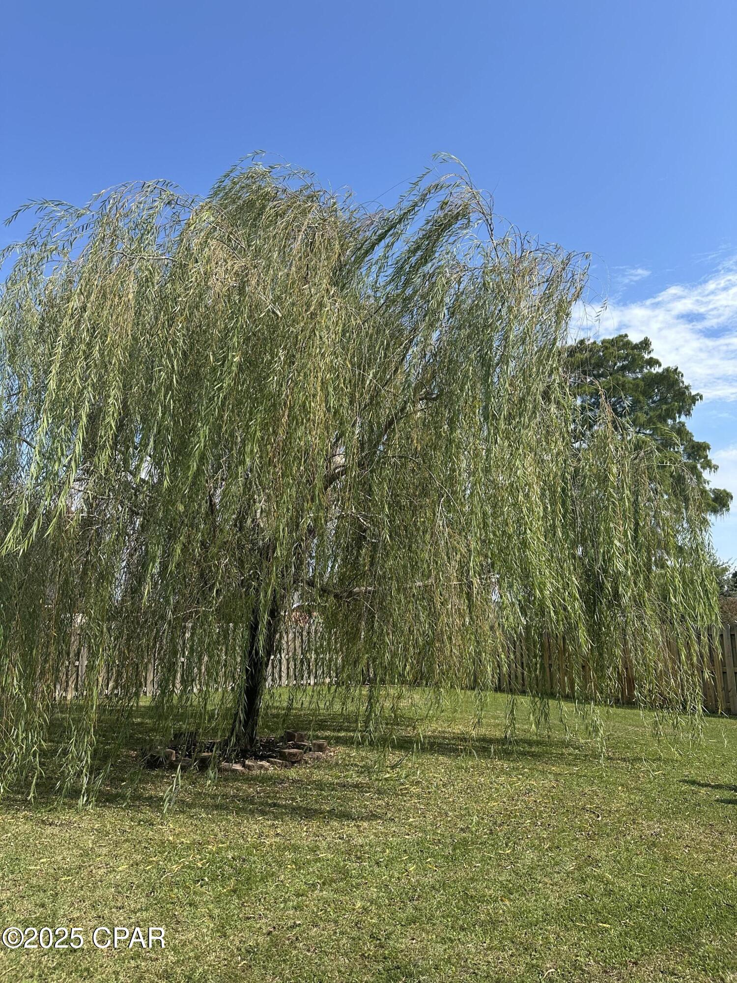 Image 9 For 1307 New Jersey Avenue