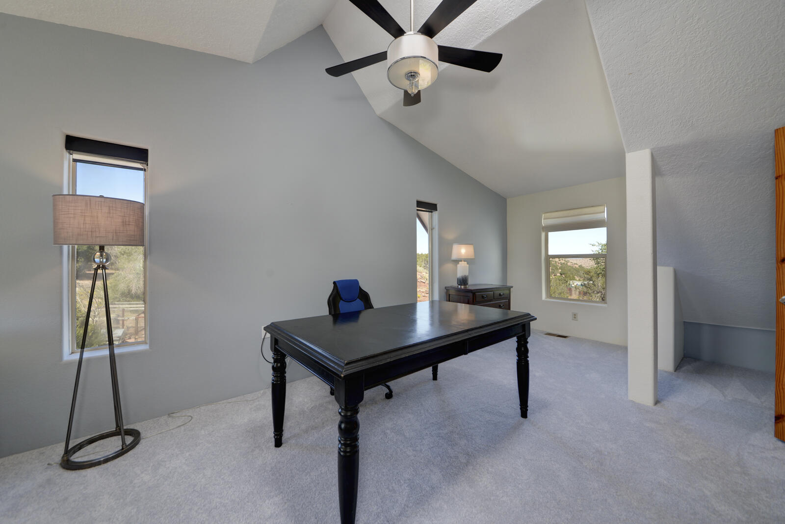 4 CAMINO MESTENO Home Office