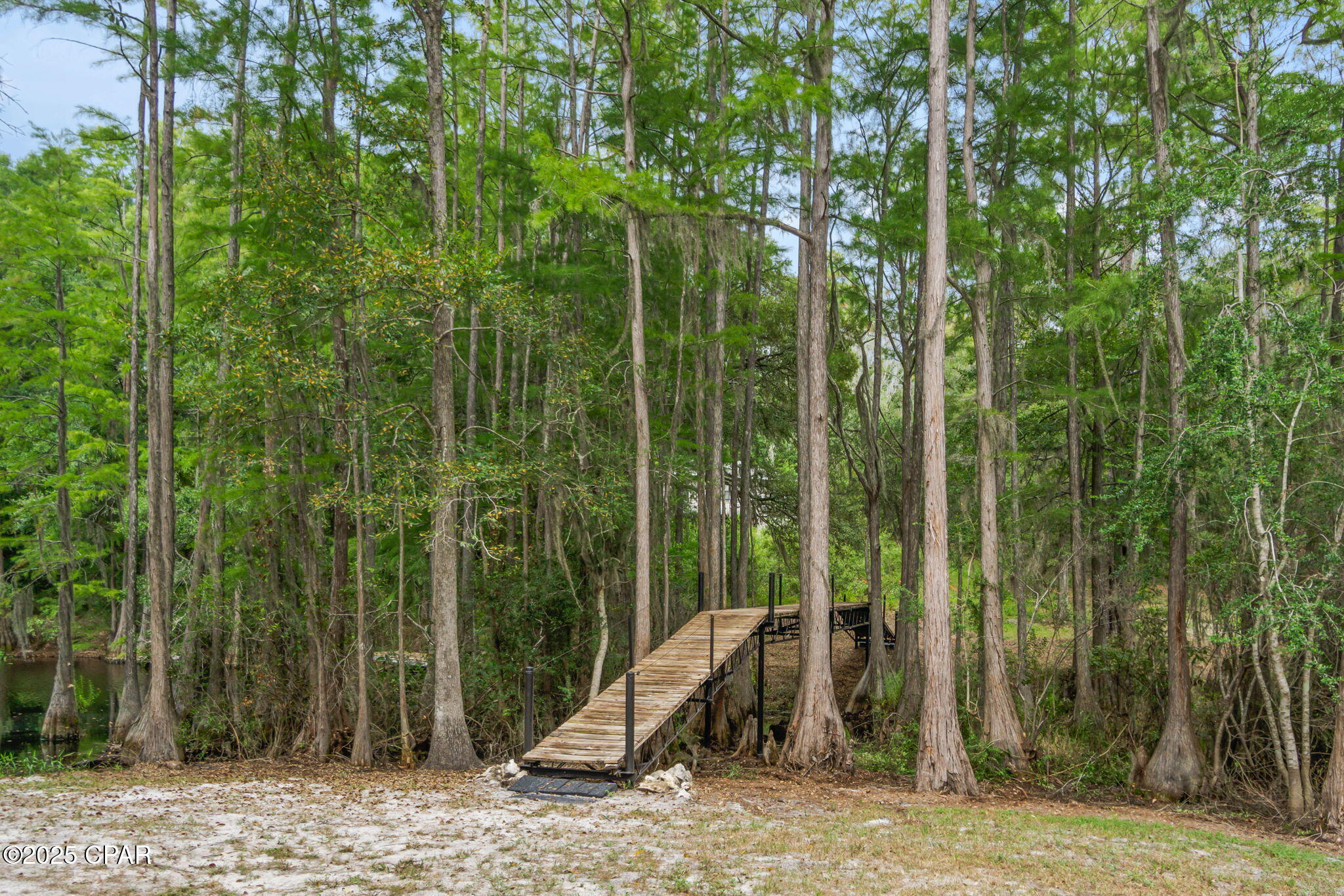 Listing photo id 46 for 2730 Mosquito Road