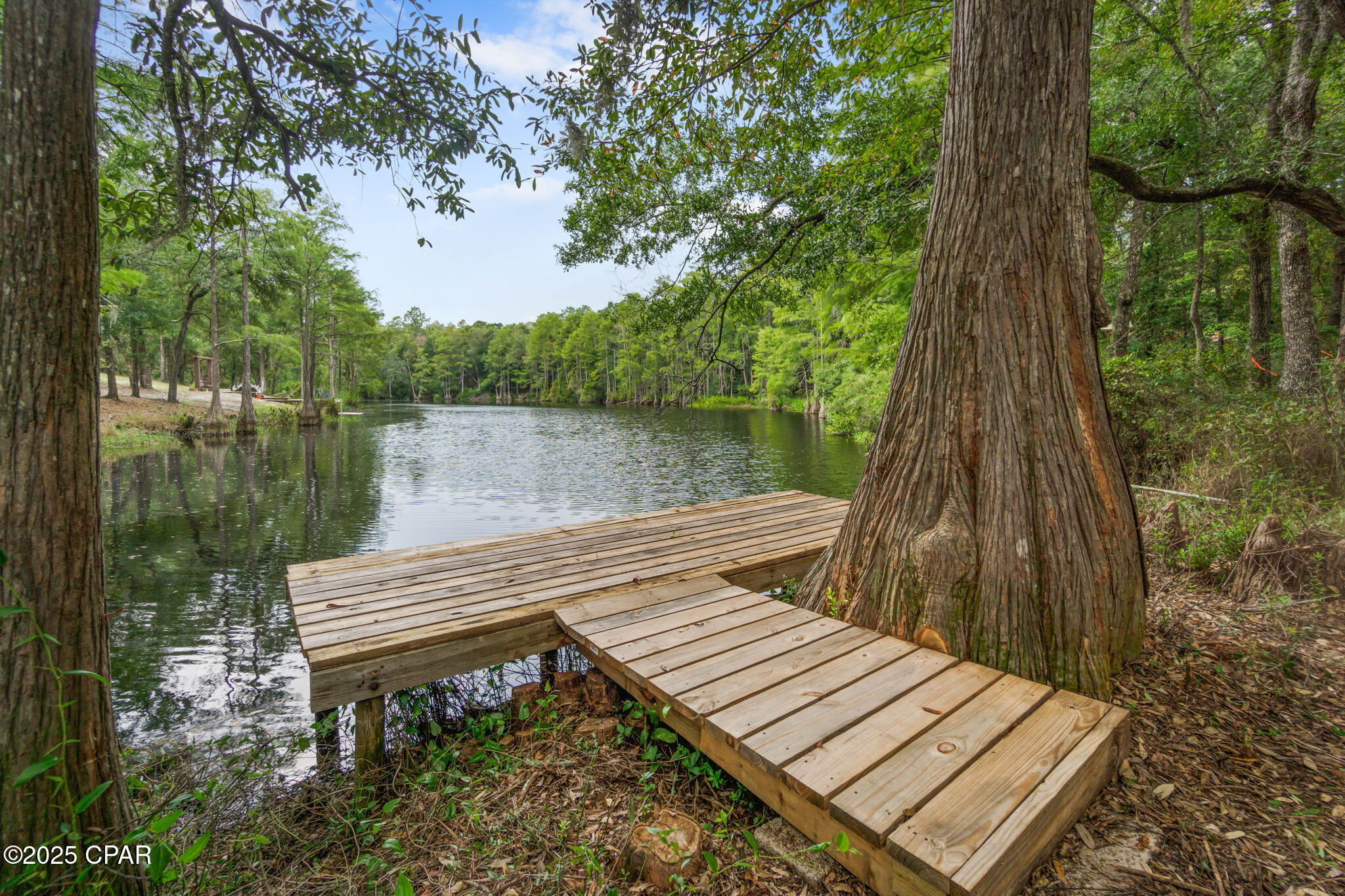 Listing photo id 47 for 2730 Mosquito Road