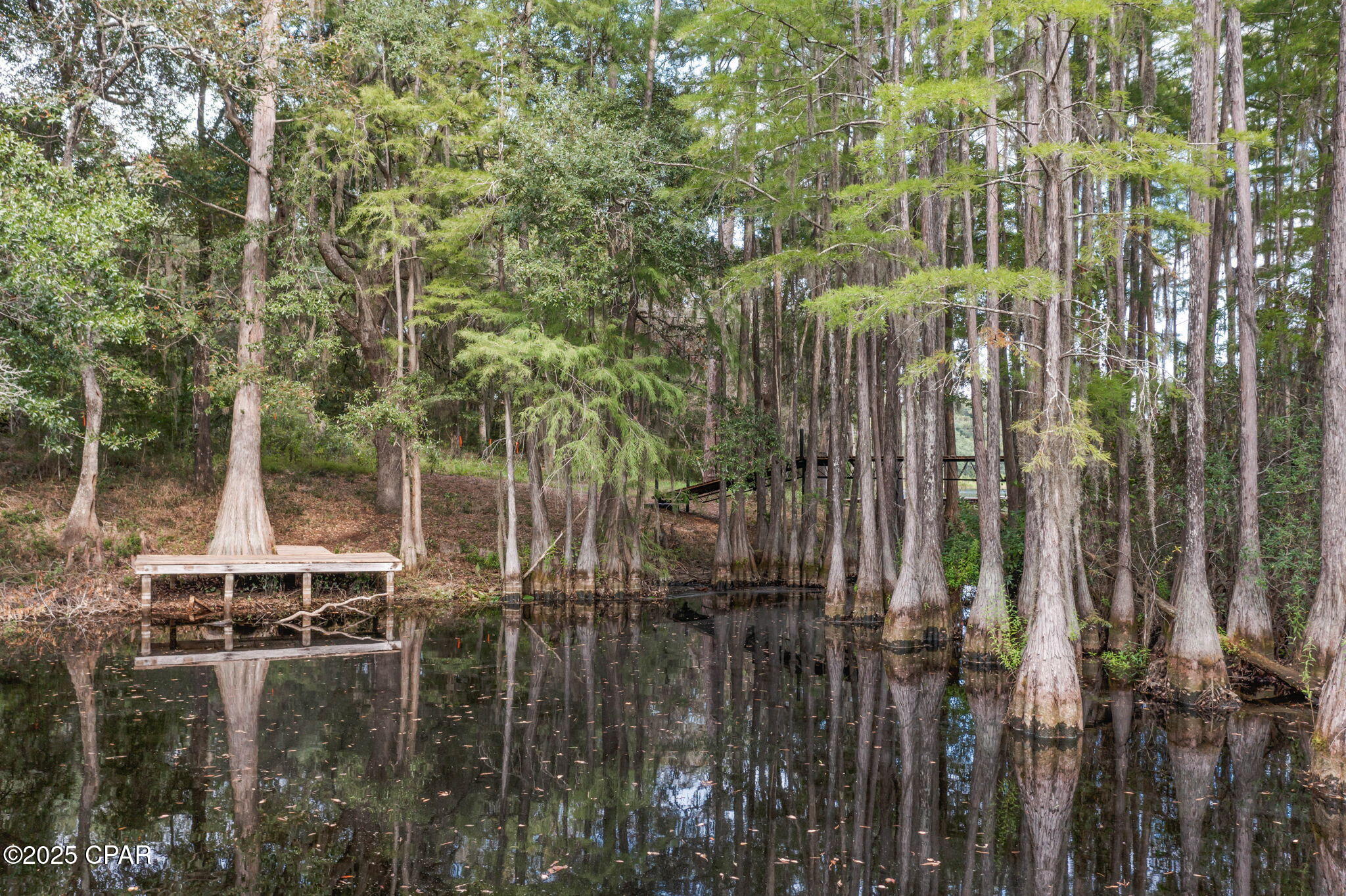 Listing photo id 49 for 2730 Mosquito Road