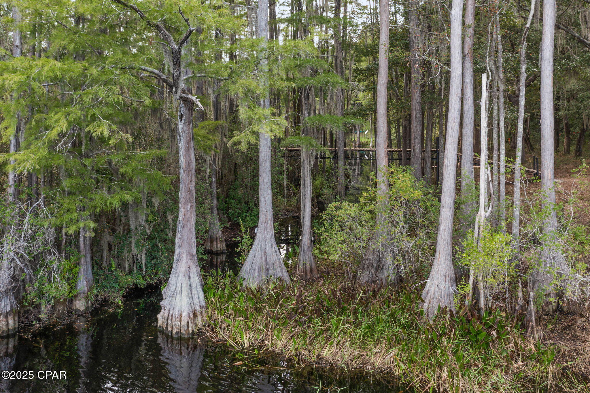 Image 62 For 2730 Mosquito Road