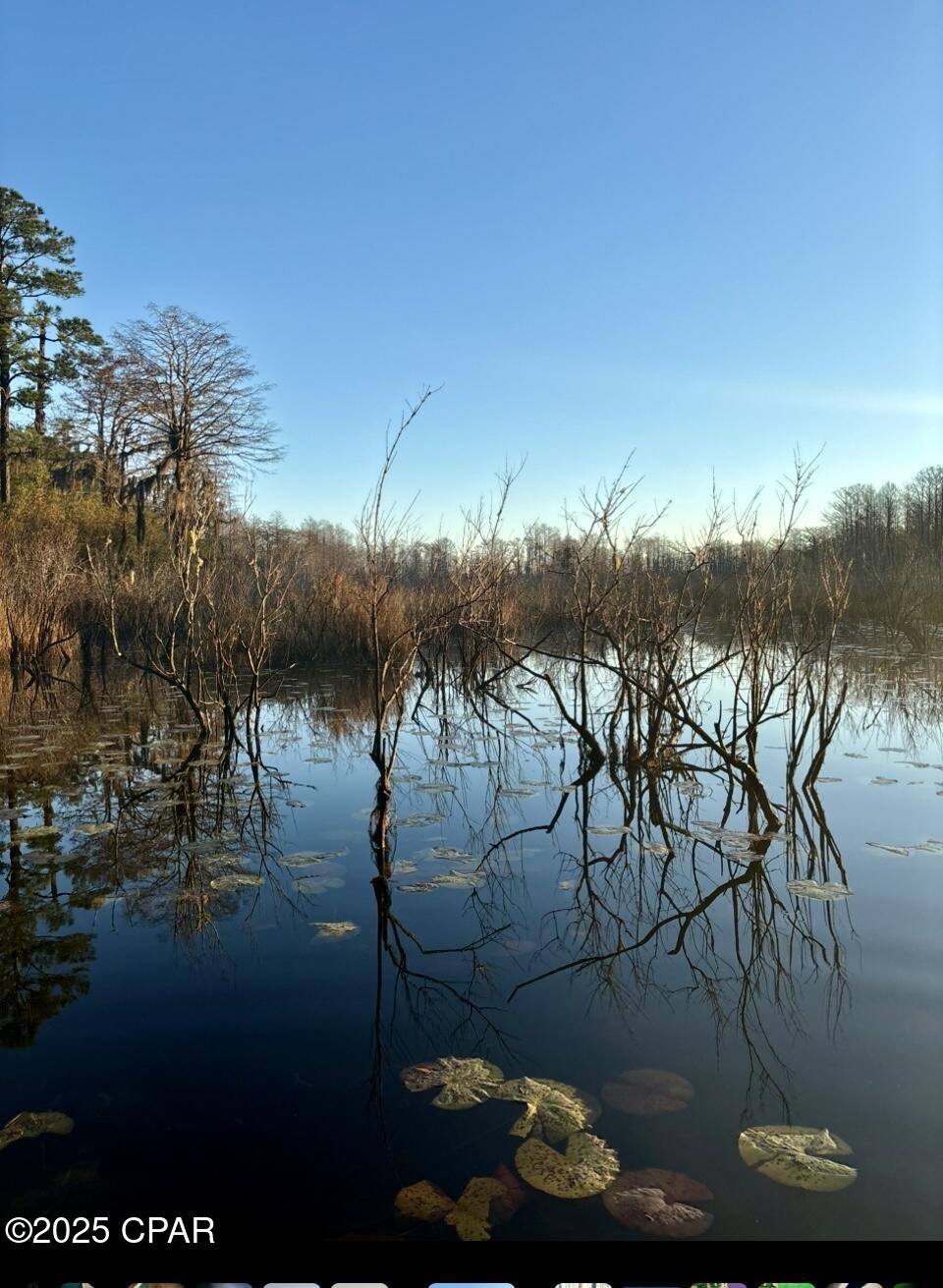 Listing photo id 79 for 2730 Mosquito Road