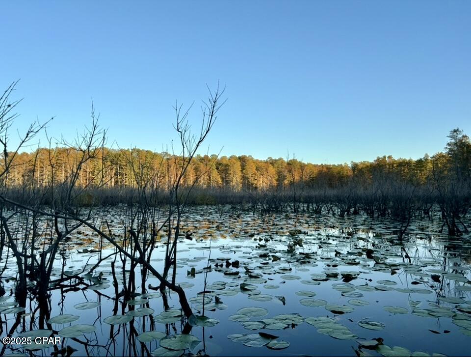 Image 80 For 2730 Mosquito Road